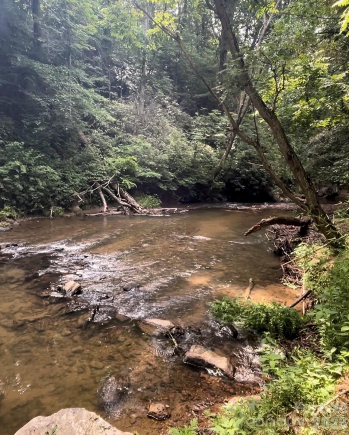 9/1 Old Mill Lane - Photo 7