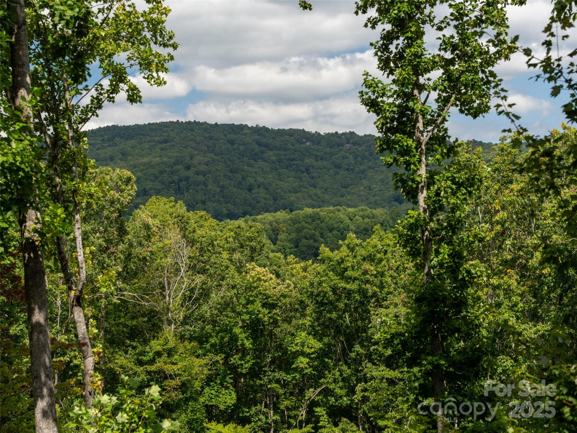 21 Windcliff Drive - Photo 42