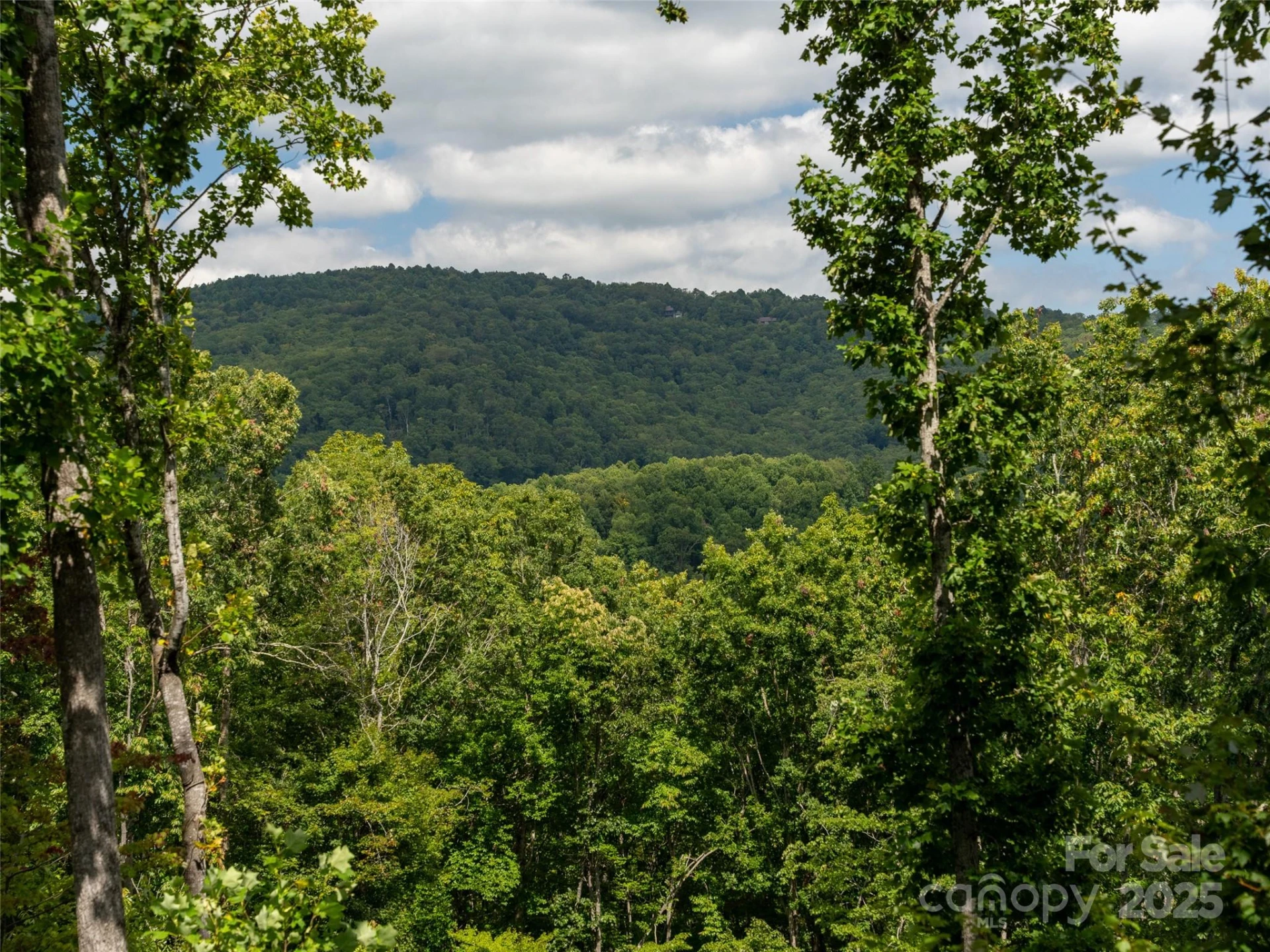 21 Windcliff Drive - Photo 42