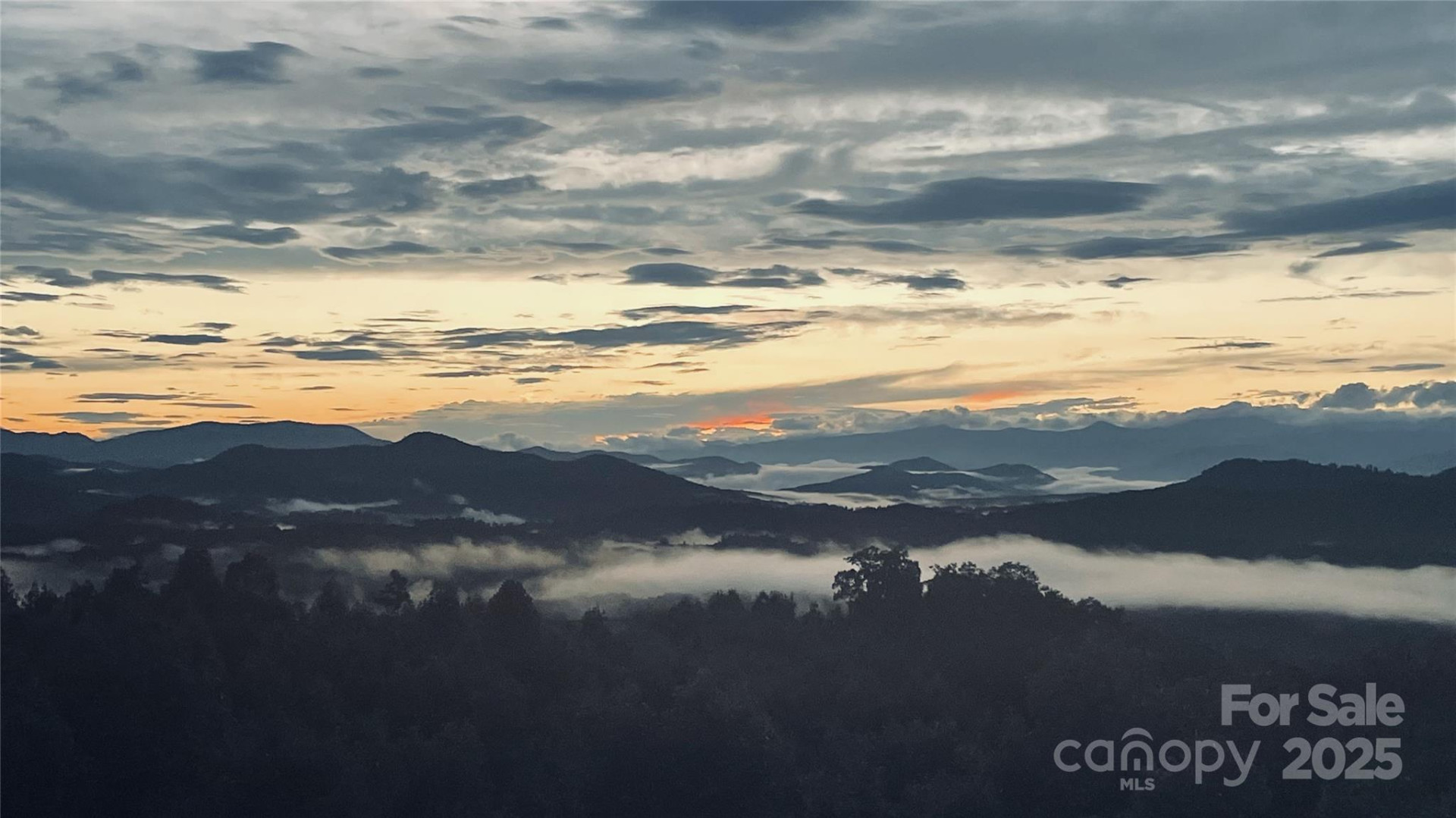 334 Scenic Vista Drive - Photo 5