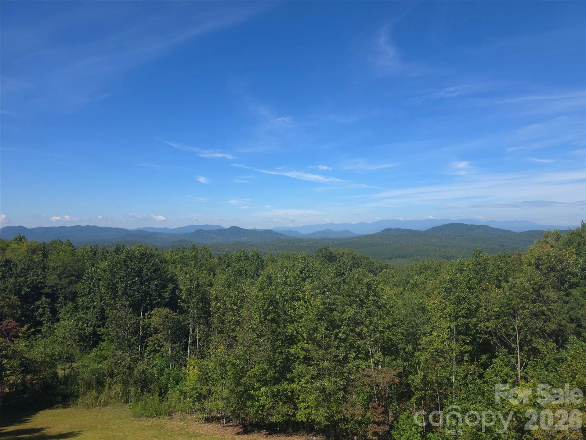 334 Scenic Vista Drive - Photo 43
