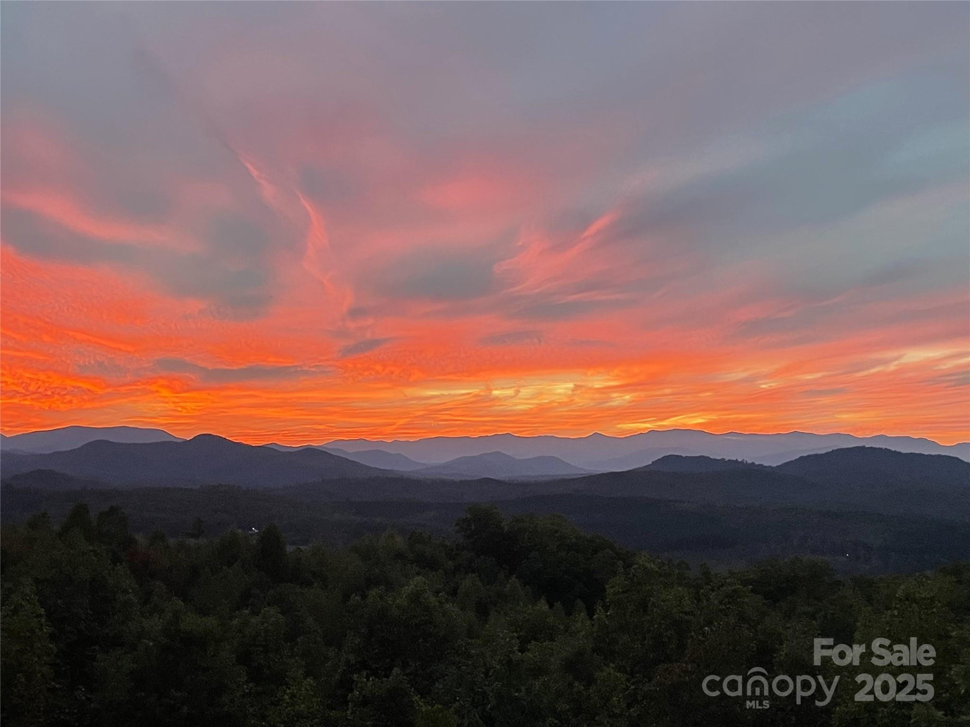 334 Scenic Vista Drive - Photo 44