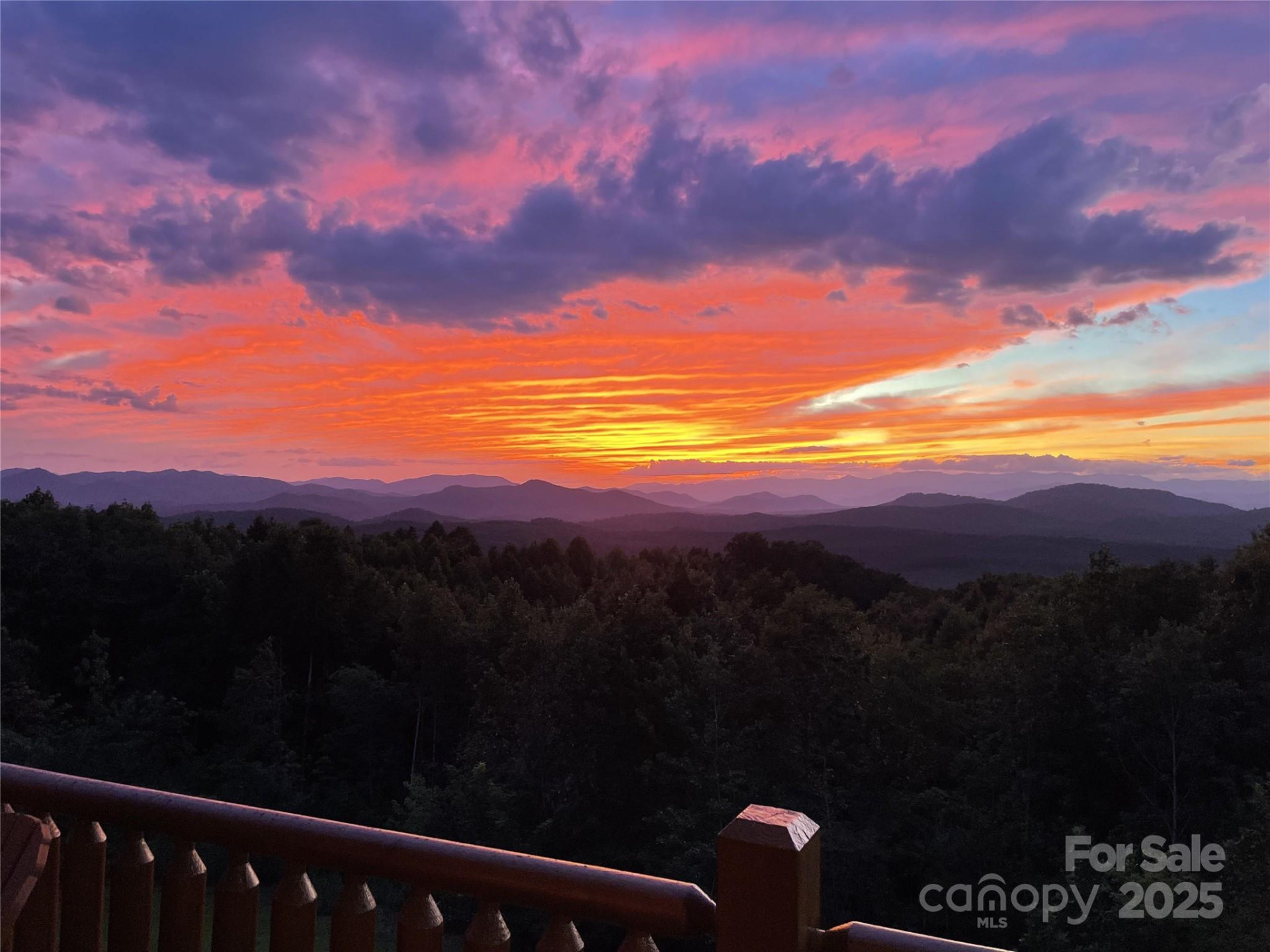 334 Scenic Vista Drive - Photo 6