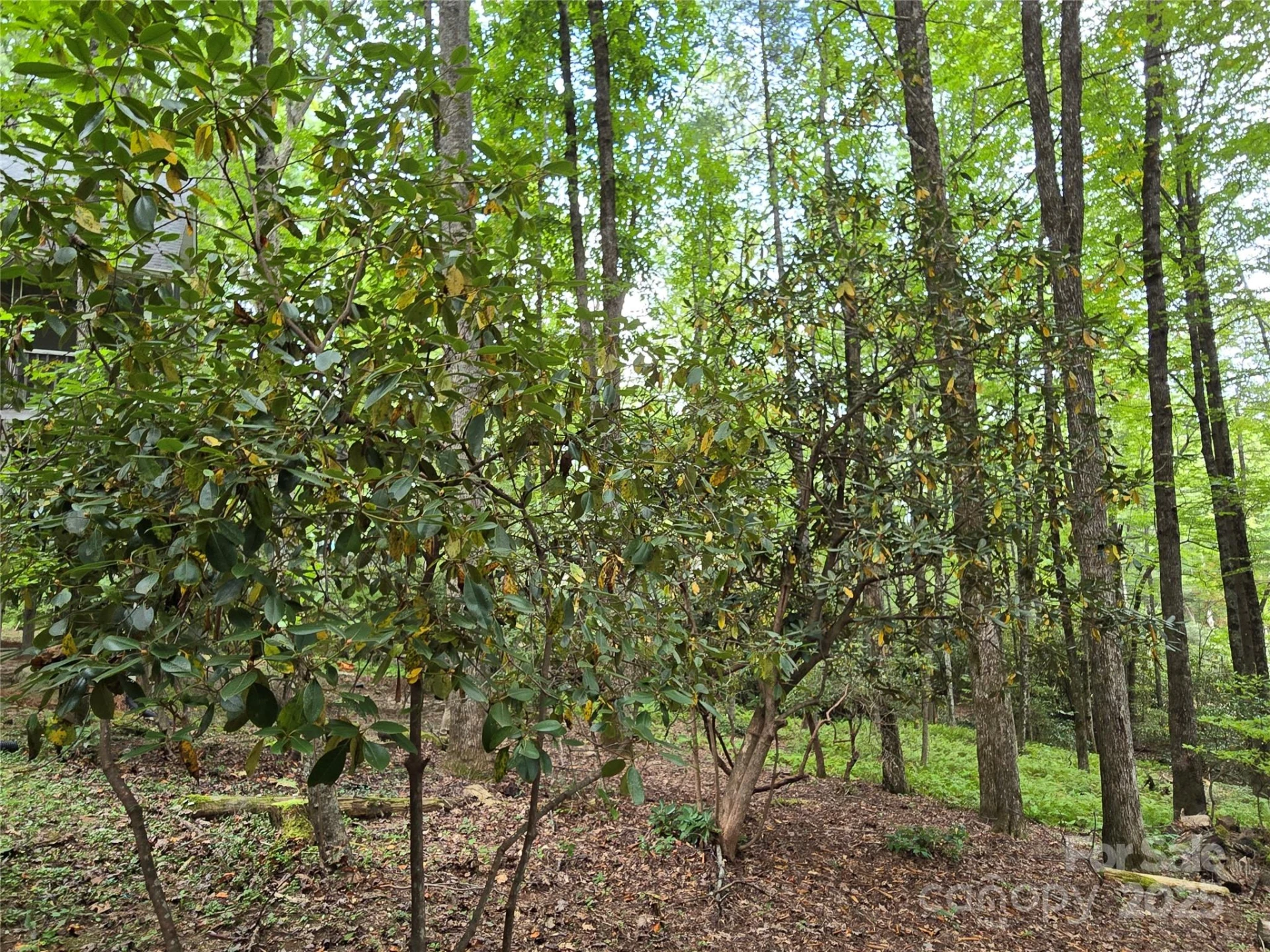 557 Country Club Estates Drive - Photo 35