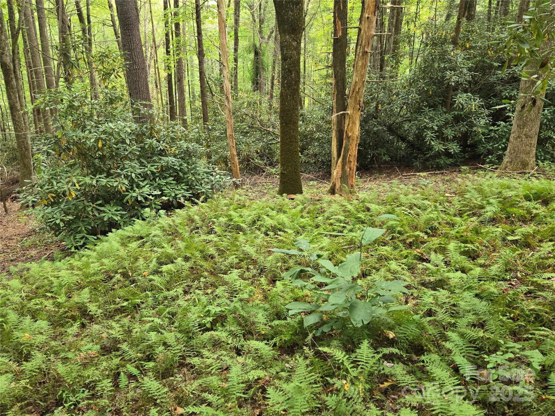 557 Country Club Estates Drive - Photo 36