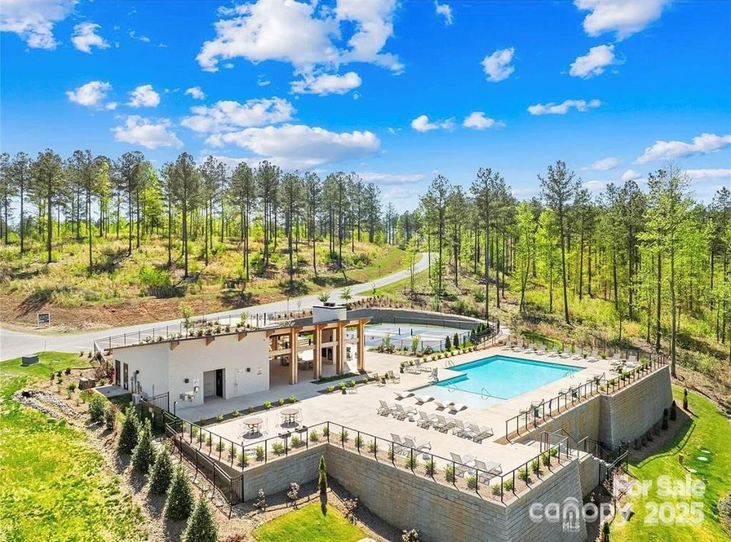 2169 Windom Peak Summit #199 - Photo 2