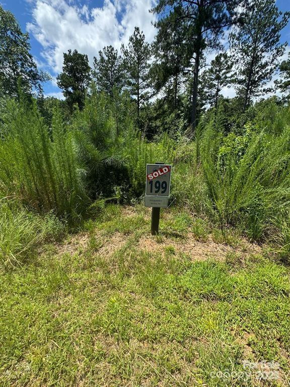 2169 Windom Peak Summit #199 - Photo 6
