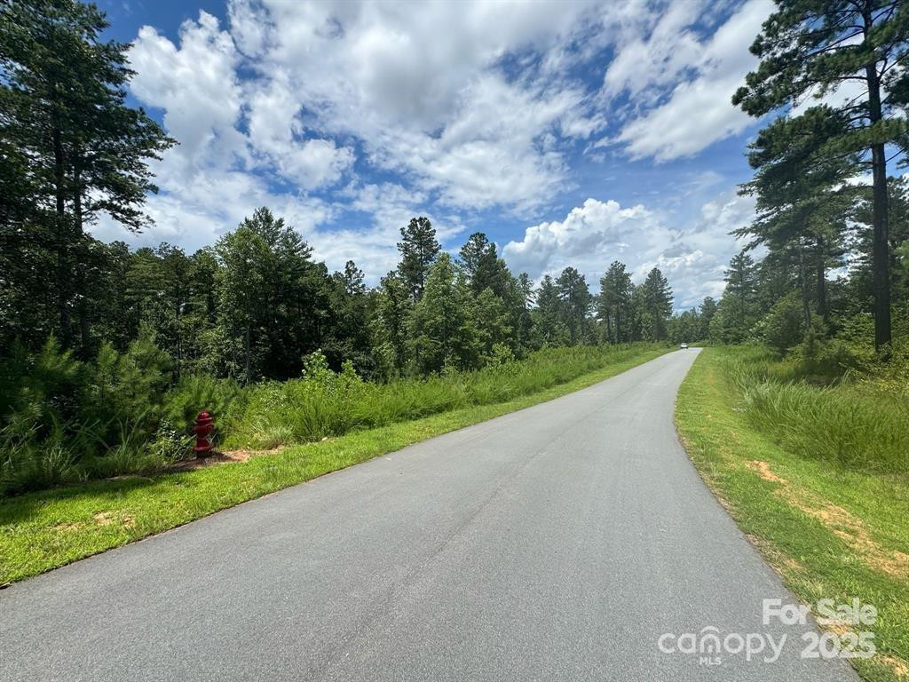 2169 Windom Peak Summit #199 - Photo 7