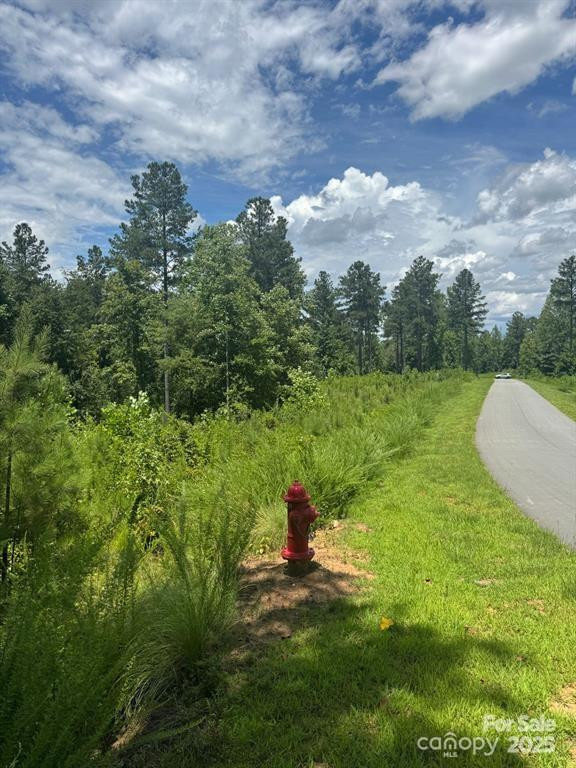 2169 Windom Peak Summit #199 - Photo 8
