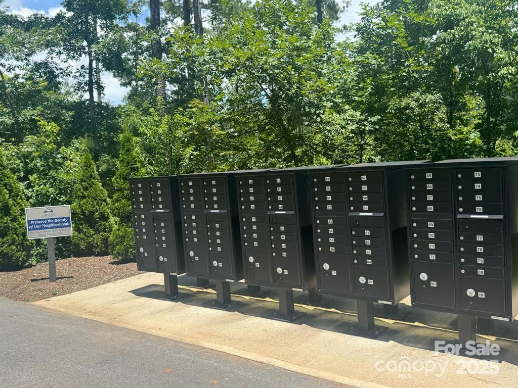 2169 Windom Peak Summit #199 - Photo 9