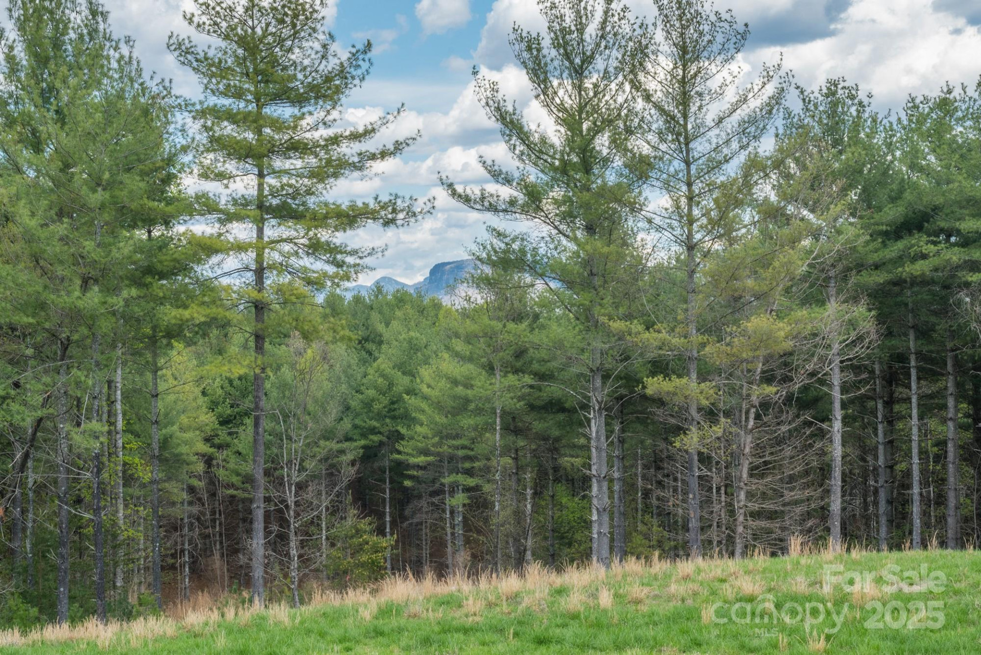 Lot 43 Winghaven Drive - Photo 23