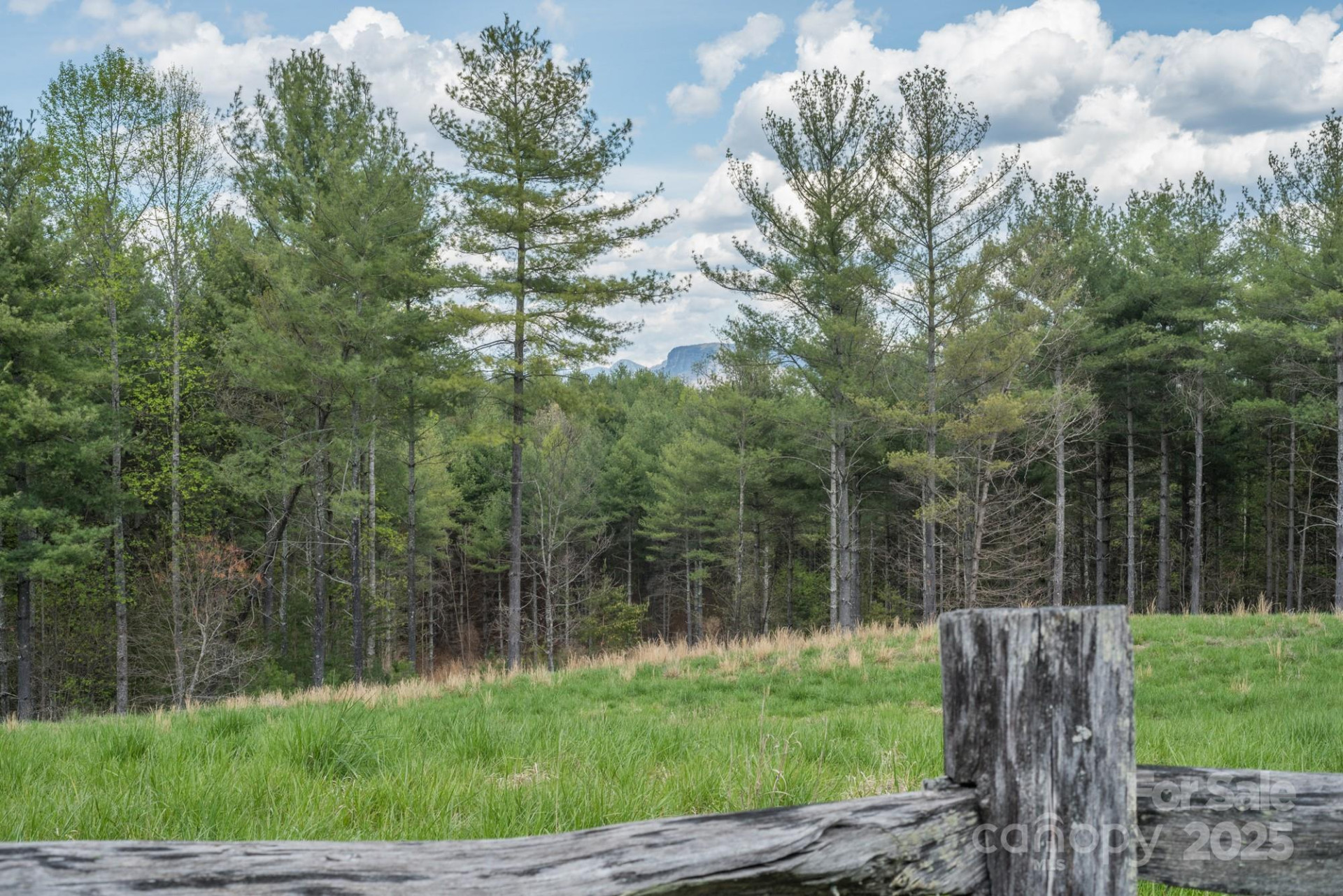 Lot 43 Winghaven Drive - Photo 24