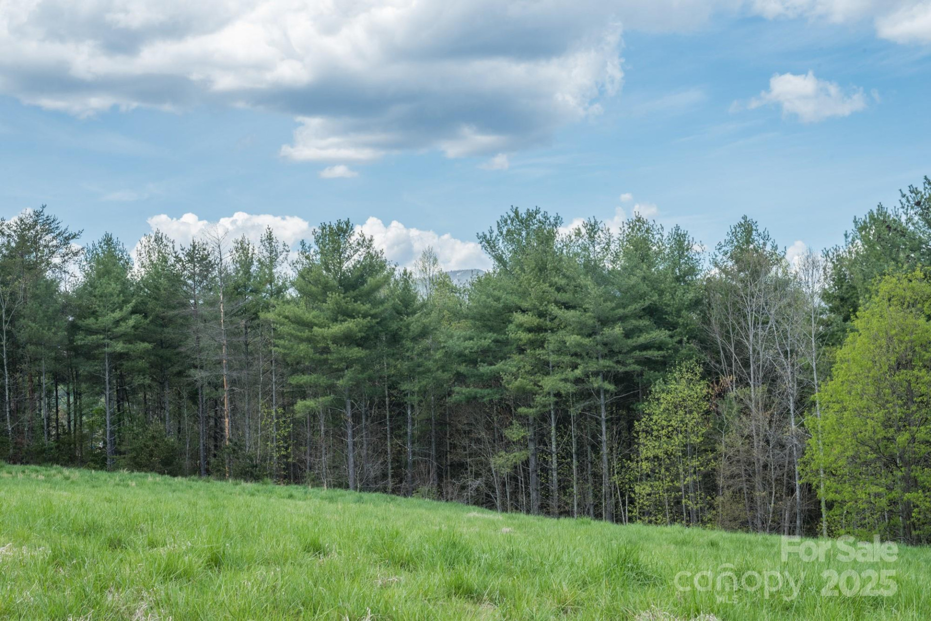 Lot 43 Winghaven Drive - Photo 25