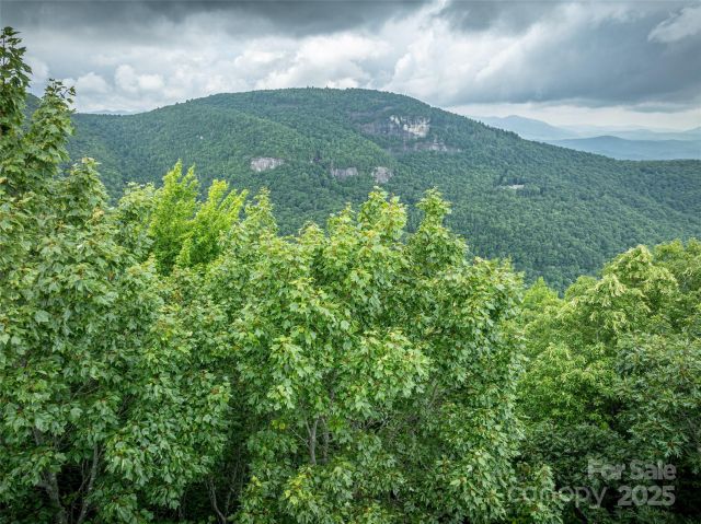 000 Meadow Ridge Drive, Lake Toxaway, NC, 28747