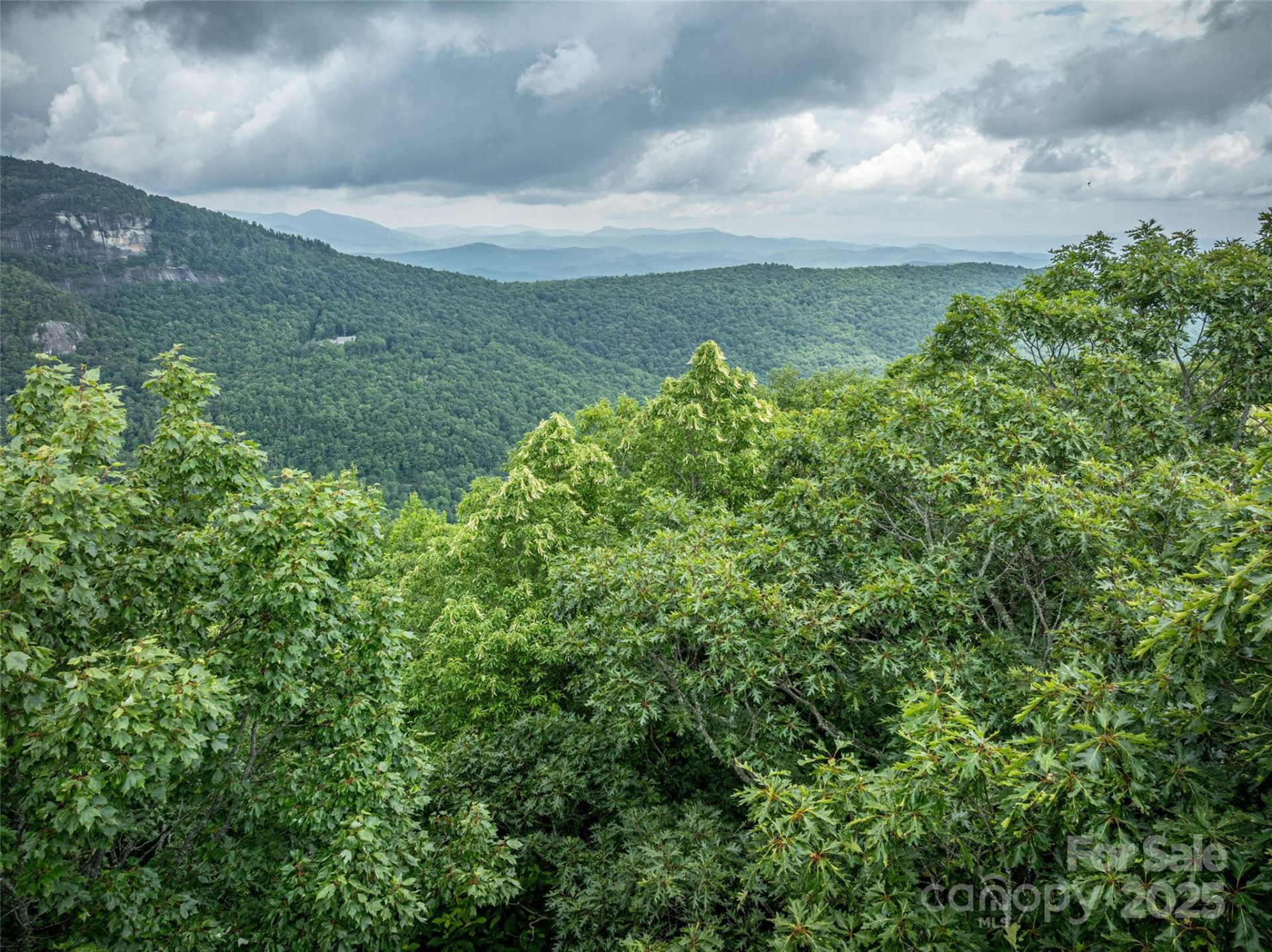 000 Meadow Ridge Drive #L9 - Photo 7