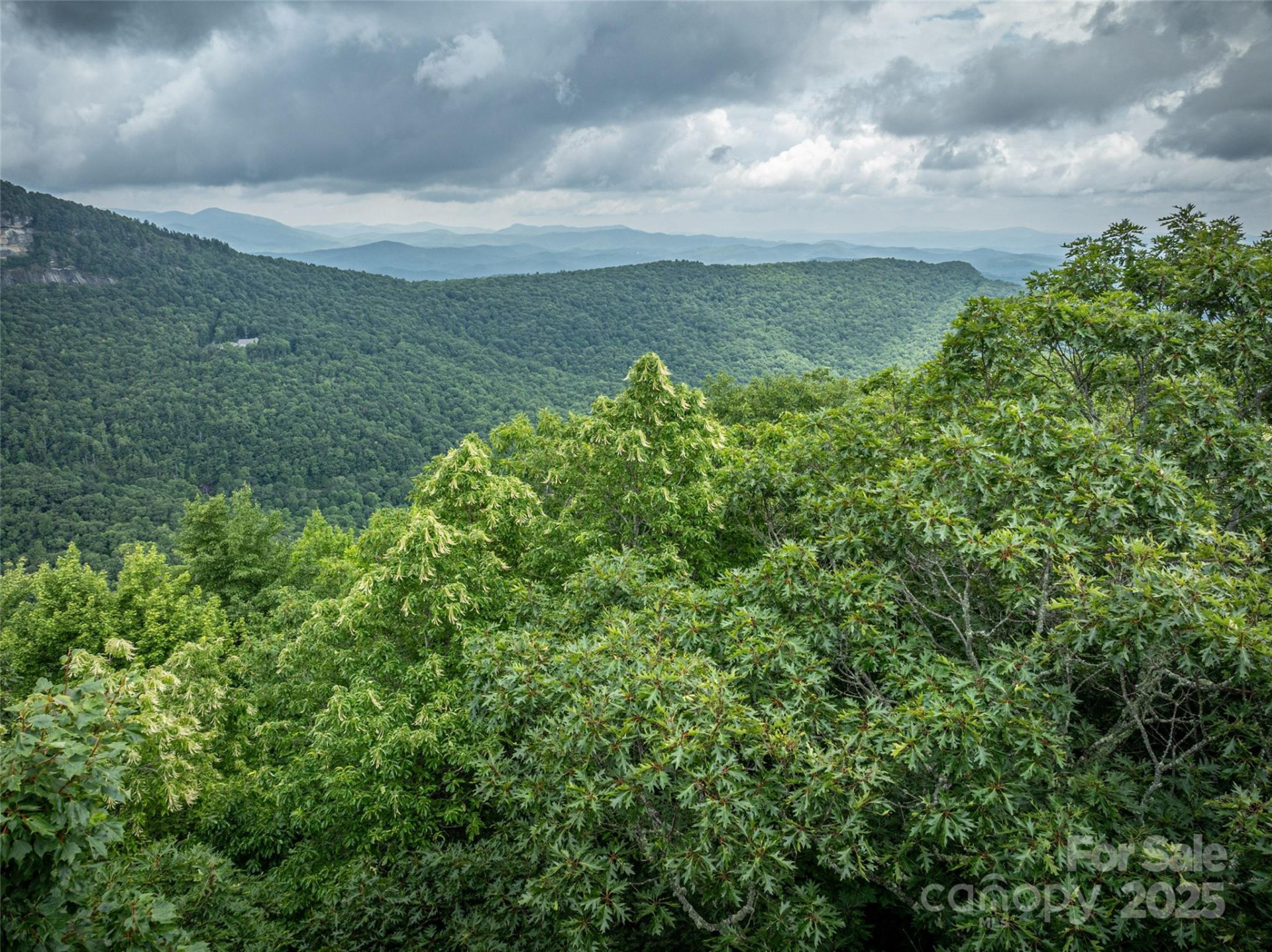 000 Meadow Ridge Drive #L9 - Photo 8