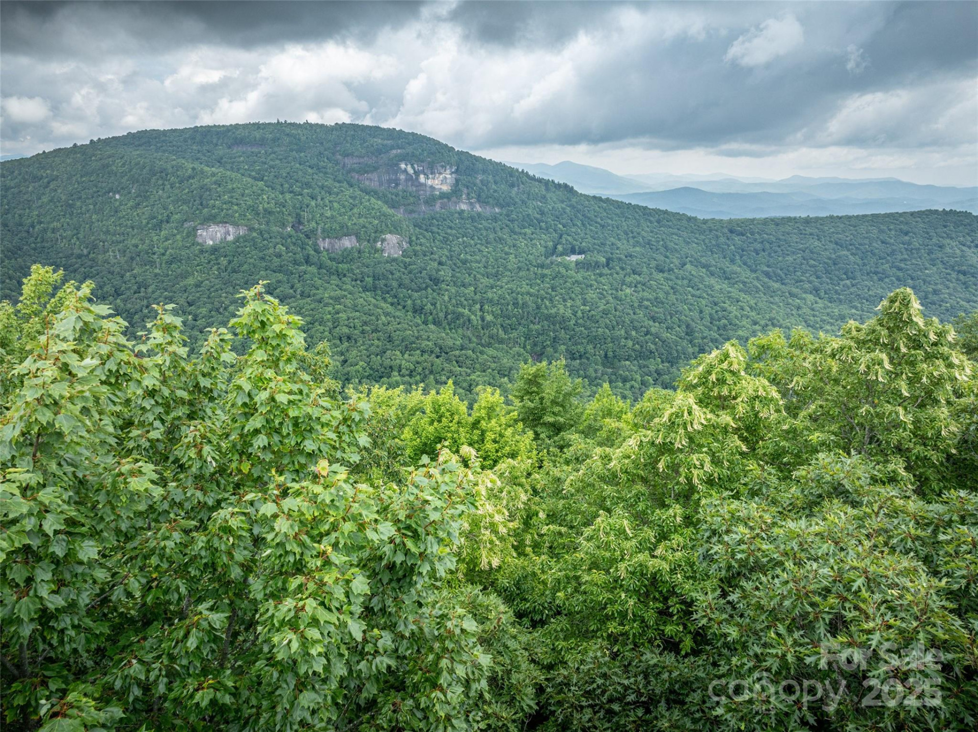 000 Meadow Ridge Drive #L9 - Photo 9