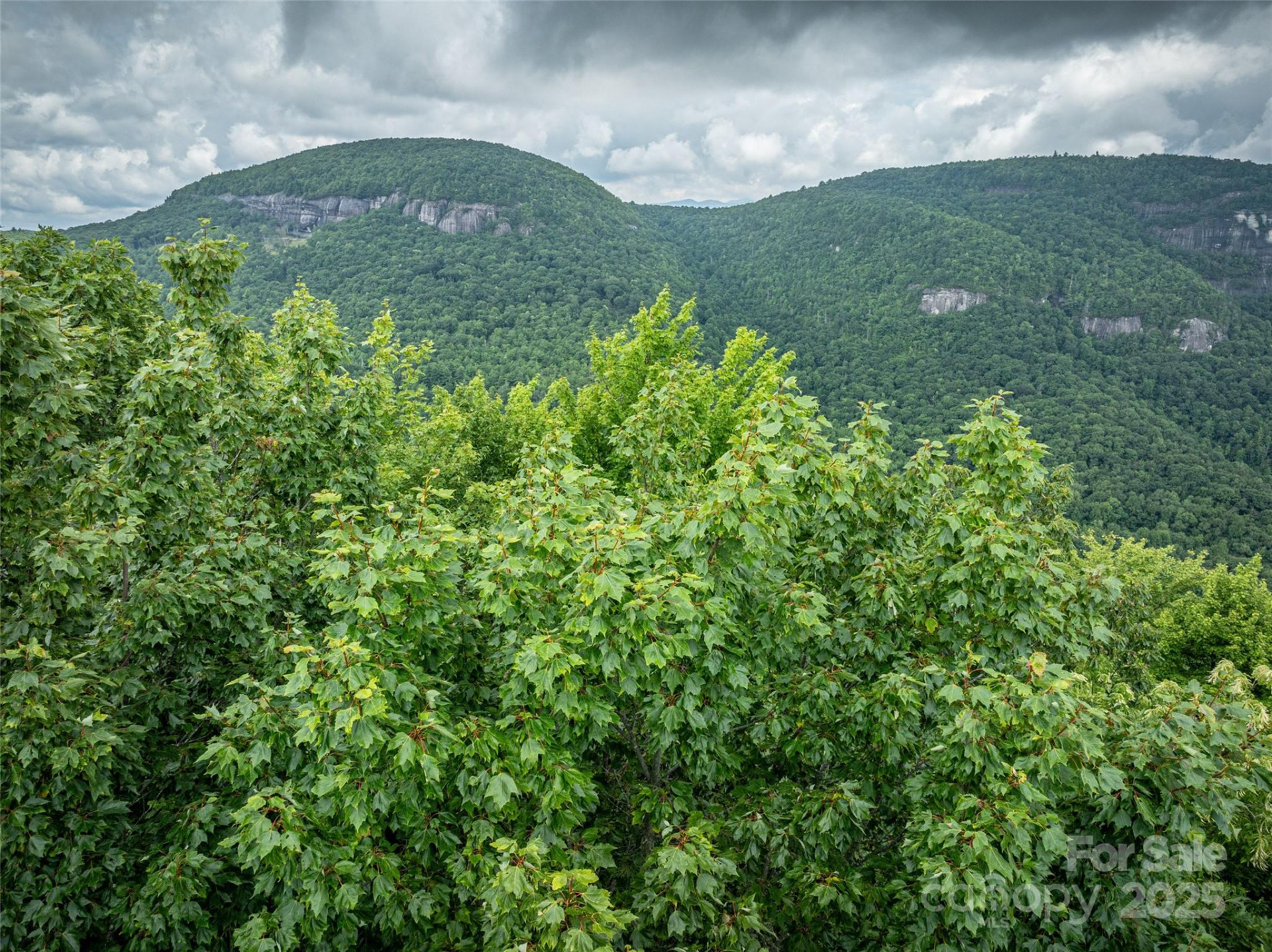 000 Meadow Ridge Drive #L9 - Photo 10