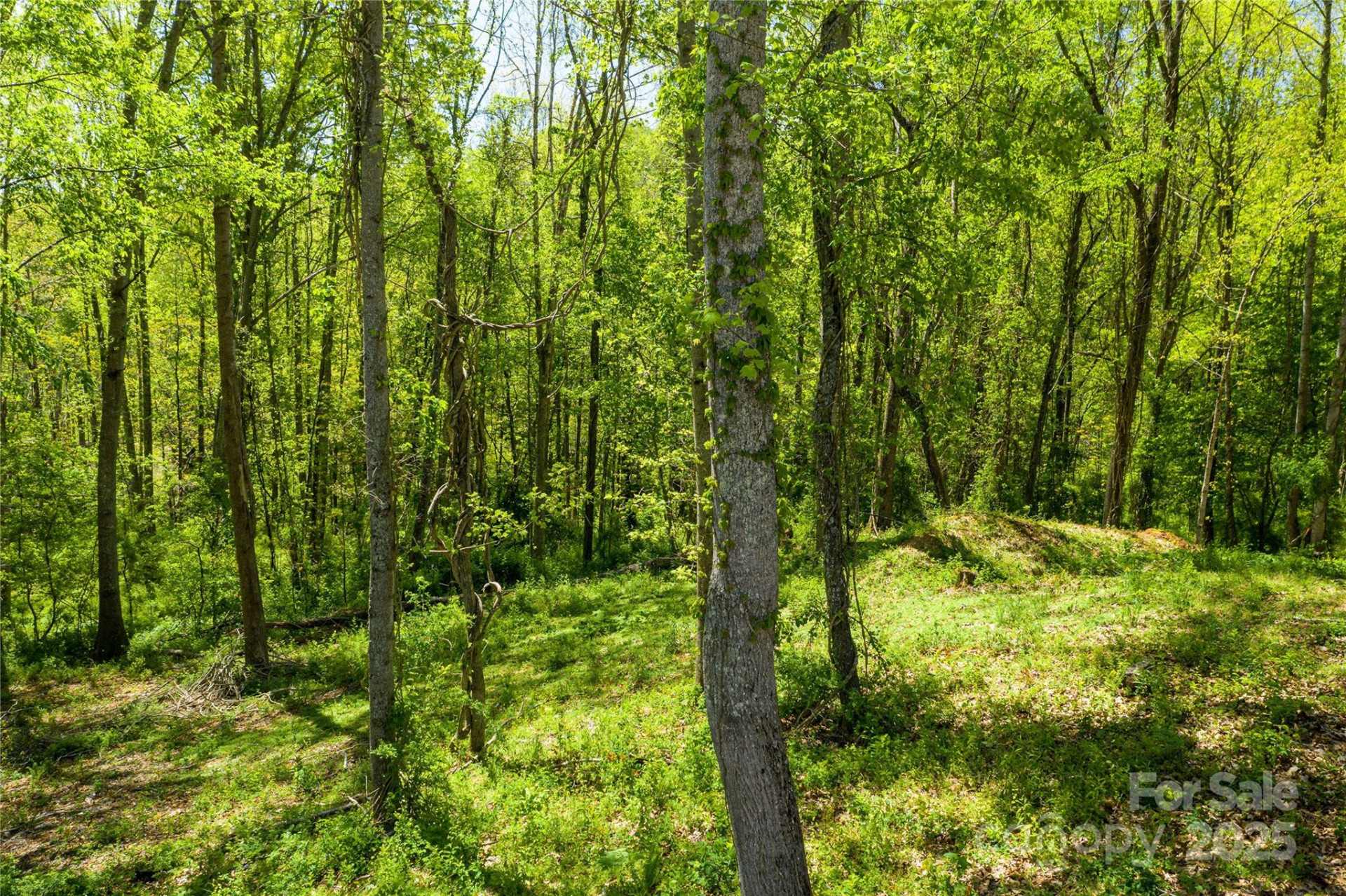 9999 Bee Balm Way #55