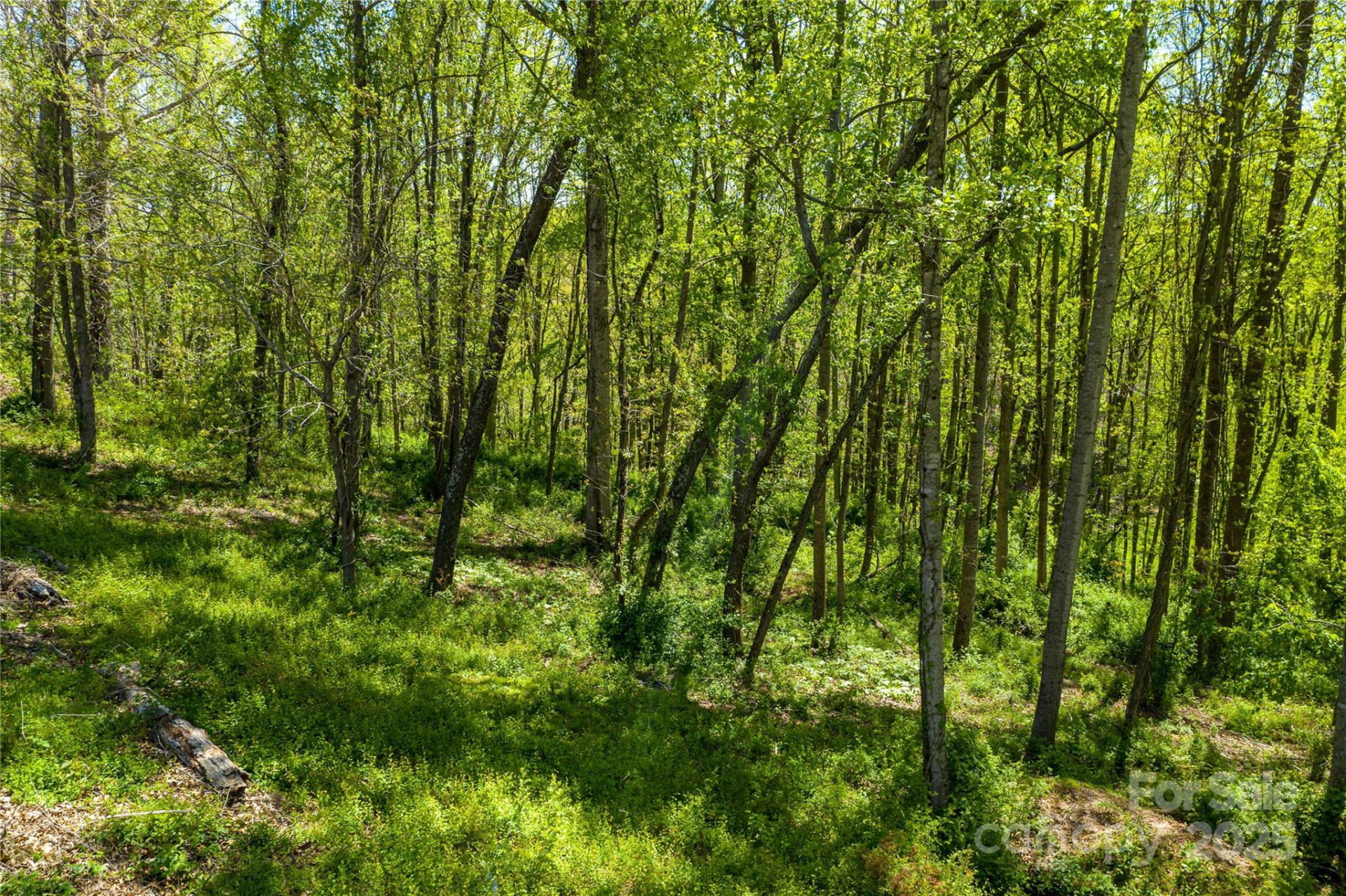 9999 Bee Balm Way #55 - Photo 2