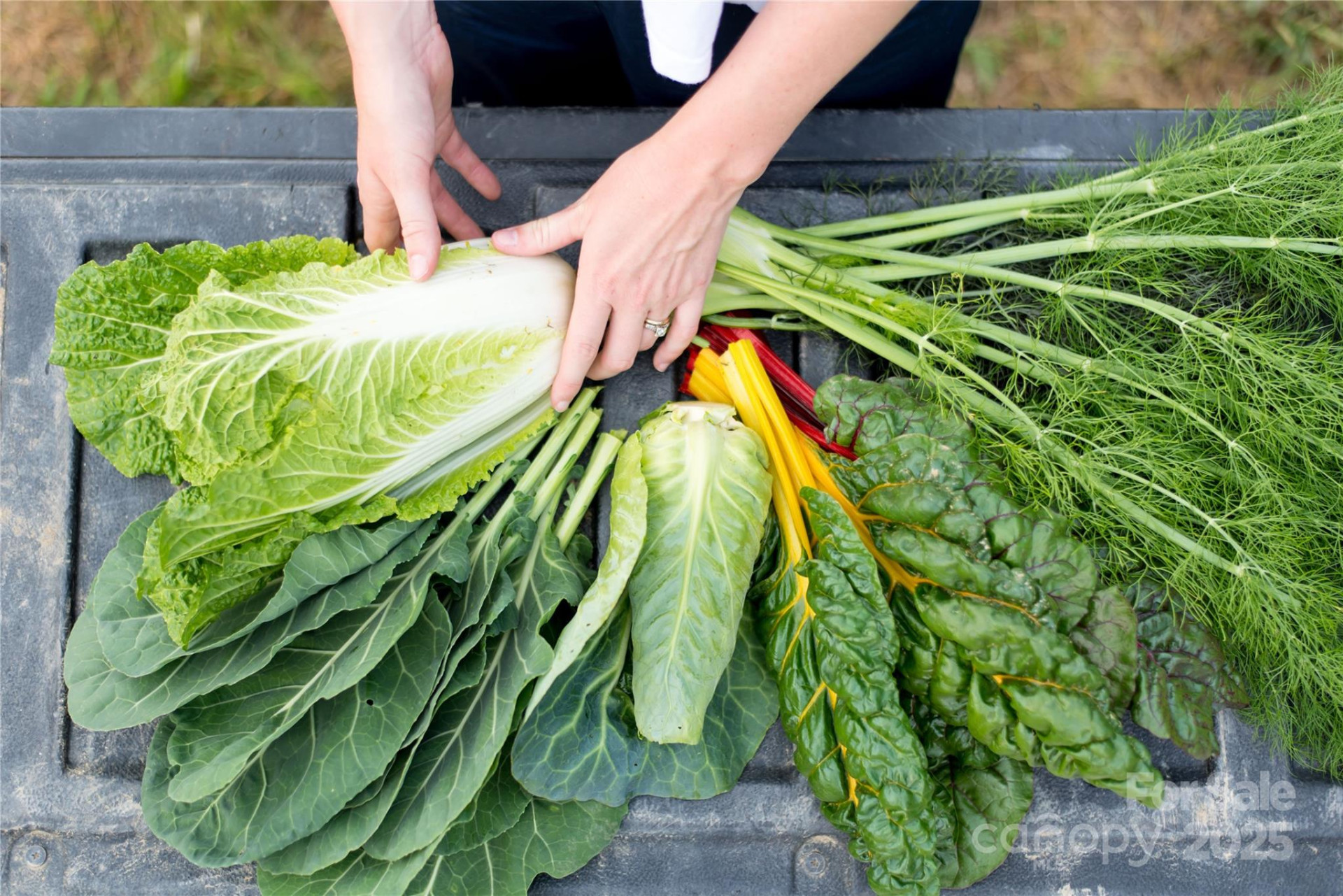 9999 Bee Balm Way #55 - Photo 19