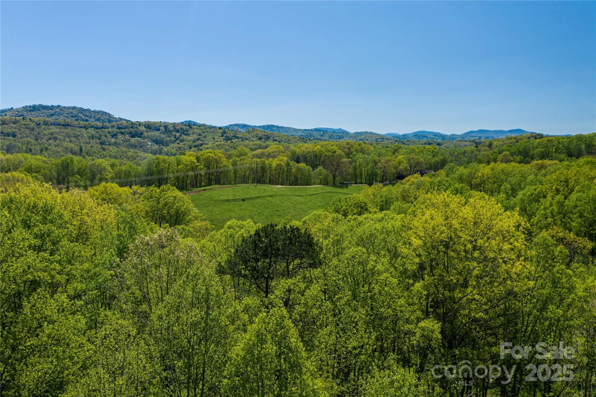 9999 Bee Balm Way #55 - Photo 3