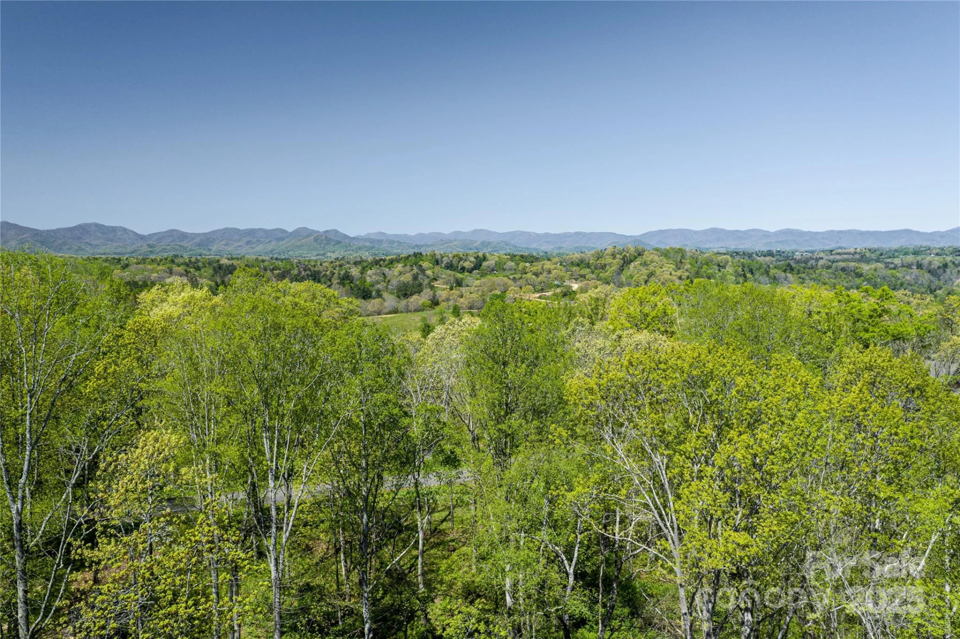 9999 Bee Balm Way #55 - Photo 4