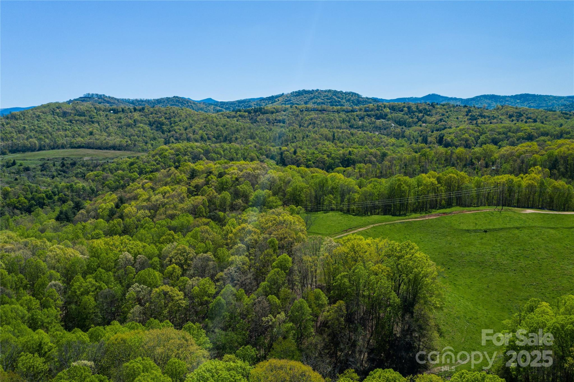 9999 Bee Balm Way #55 - Photo 5