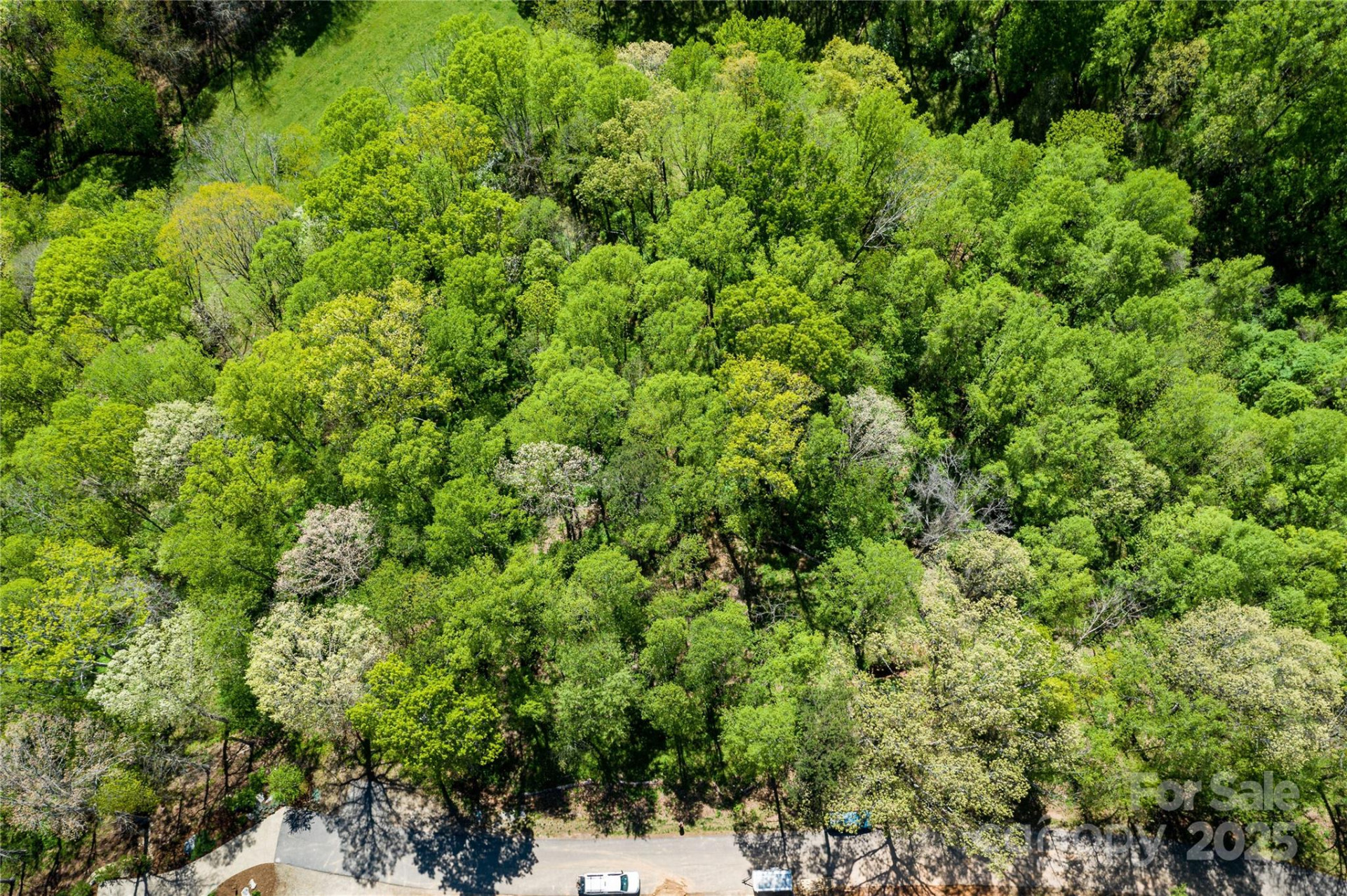 9999 Bee Balm Way #55 - Photo 6