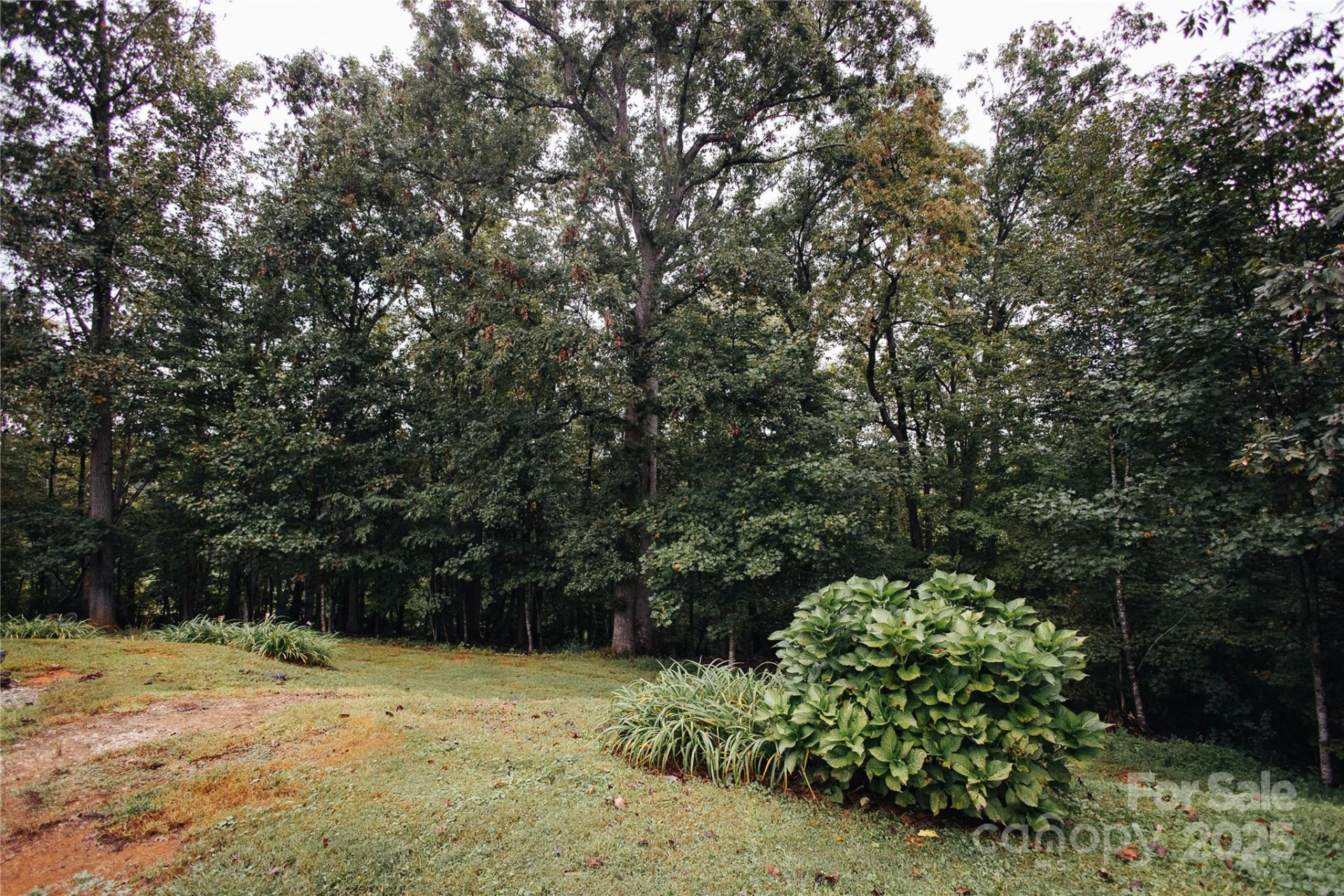325 Griggs Road - Photo 4