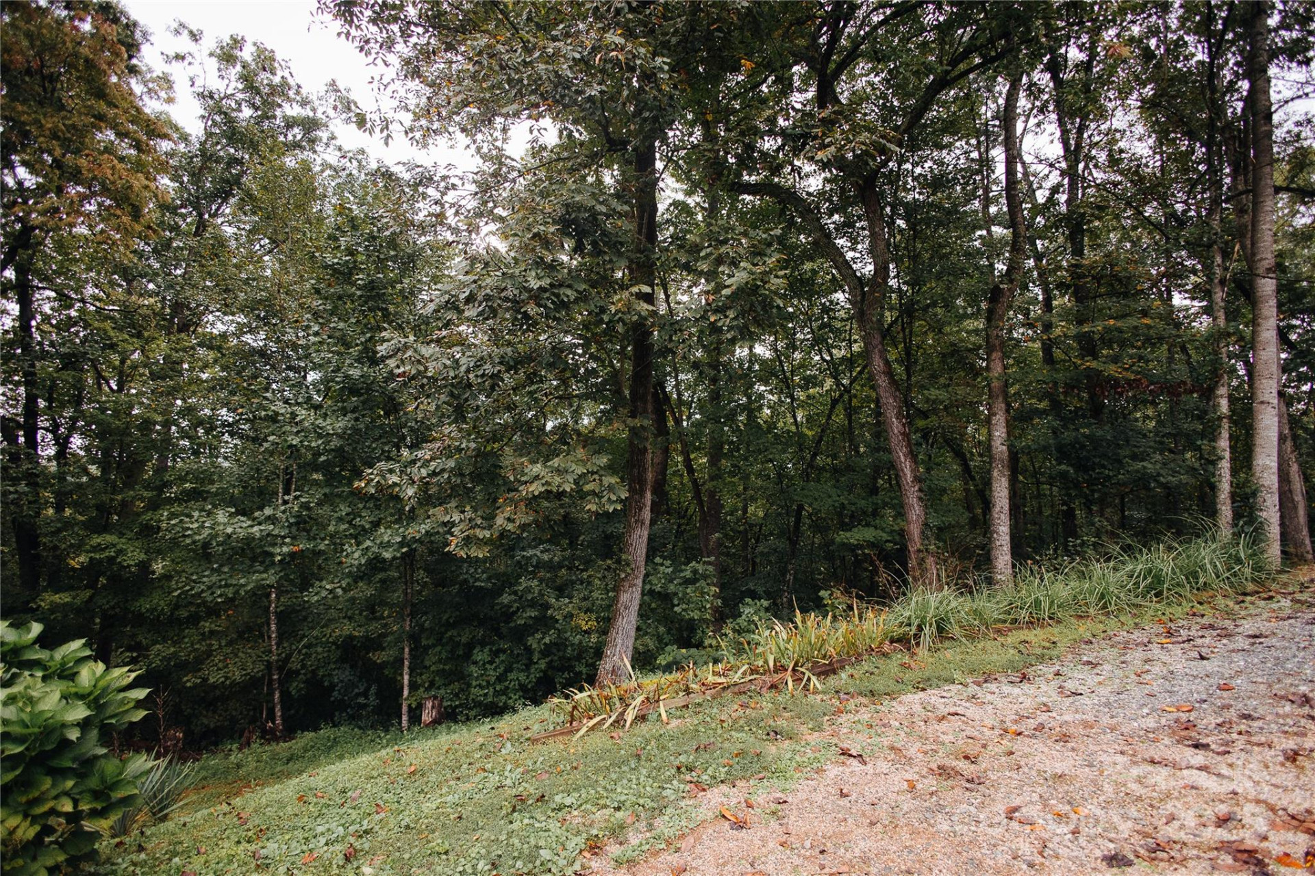 325 Griggs Road - Photo 5