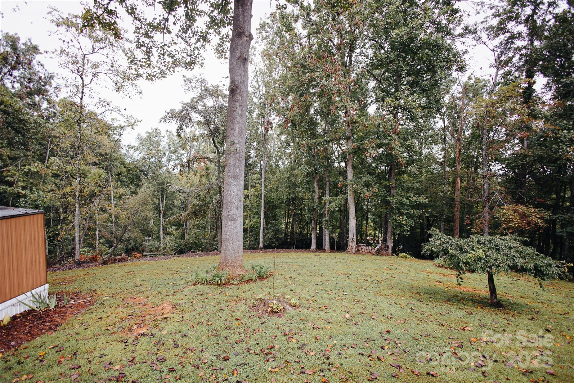 325 Griggs Road - Photo 6