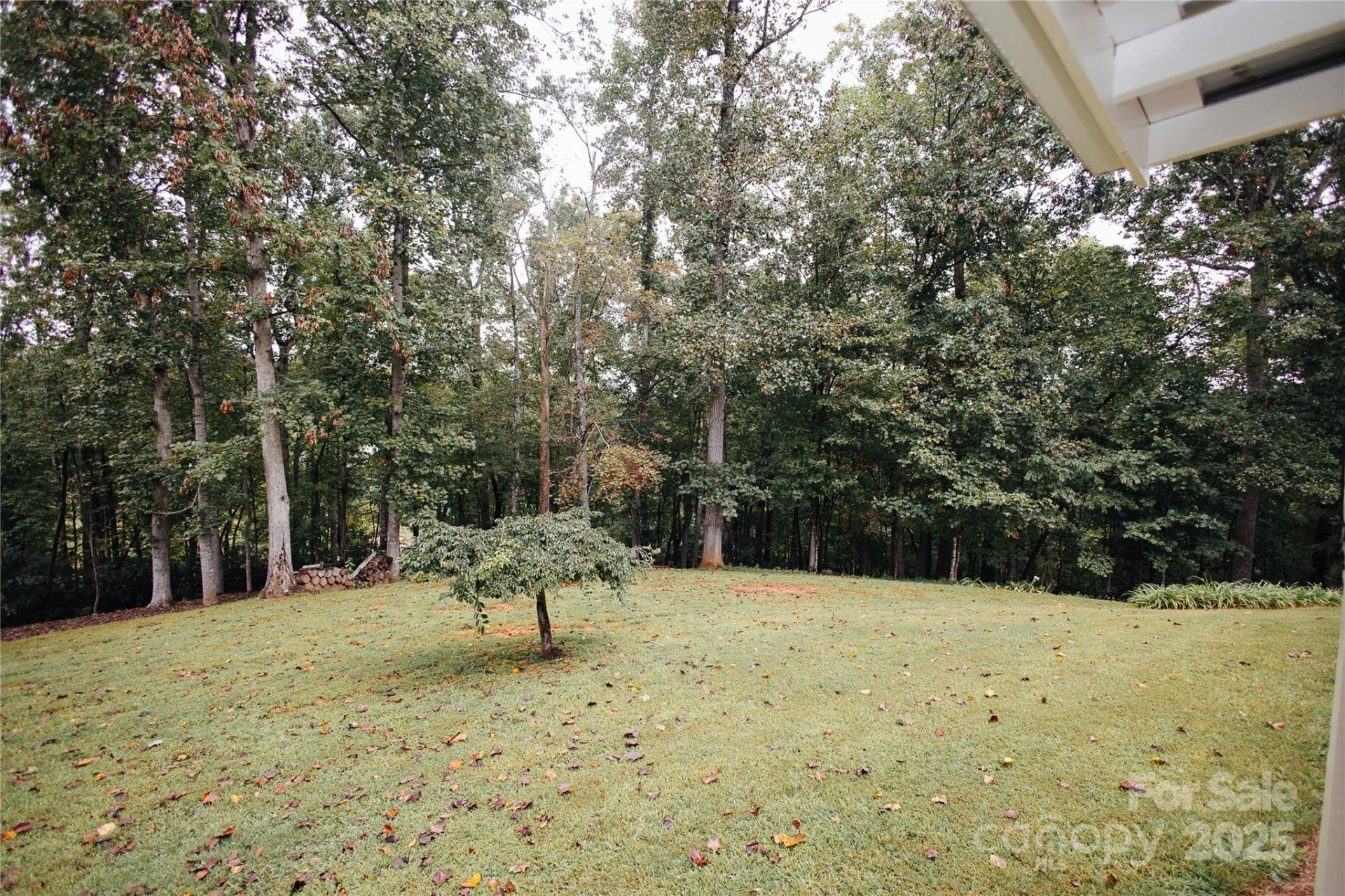 325 Griggs Road - Photo 7
