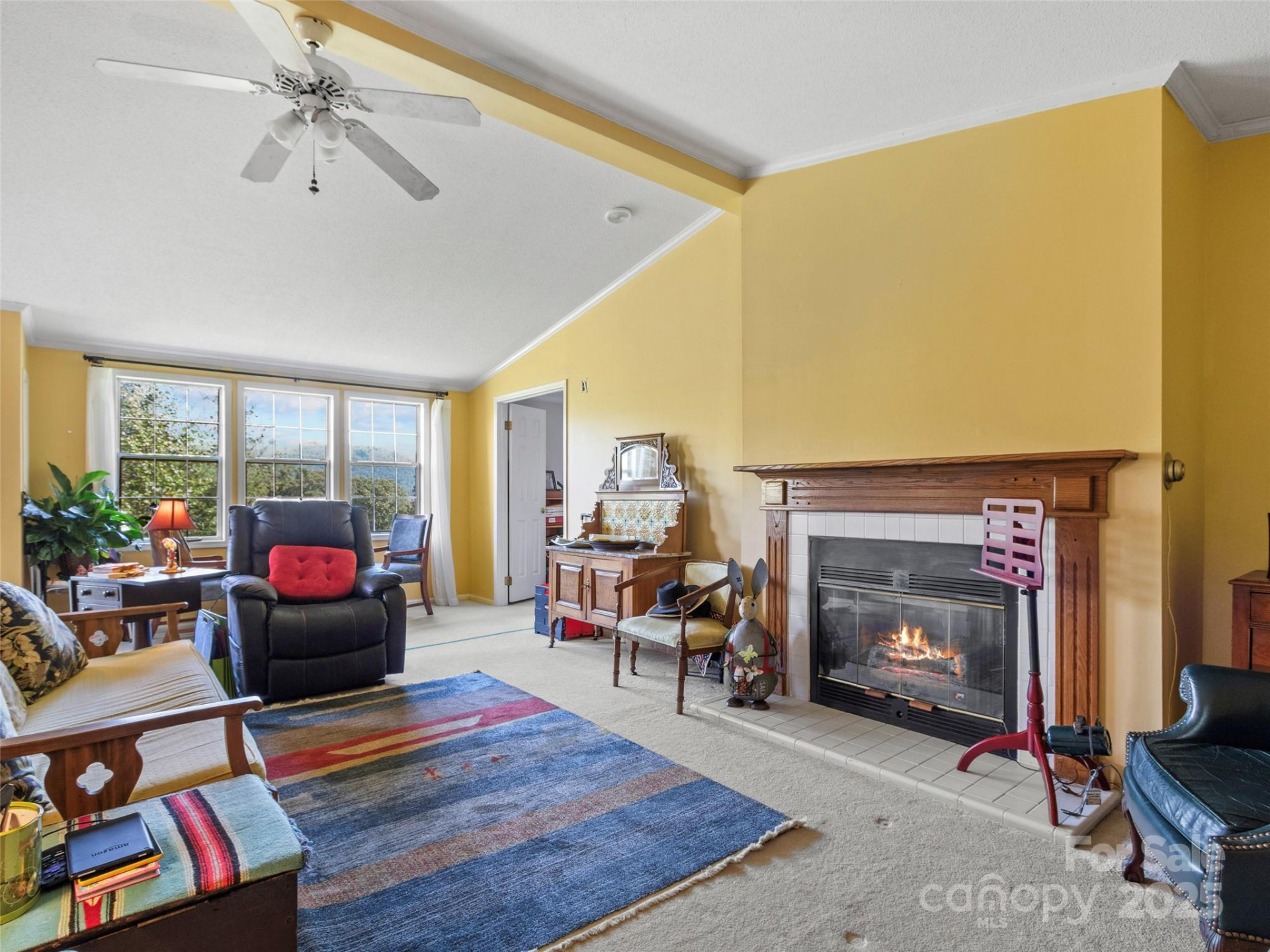 35 Mountaineer Lane #8 - Photo 11