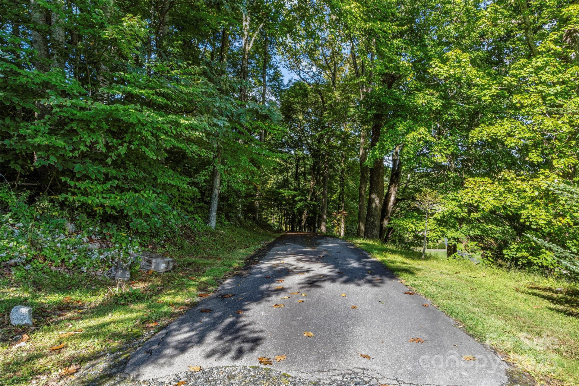 35 Mountaineer Lane #8 - Photo 31