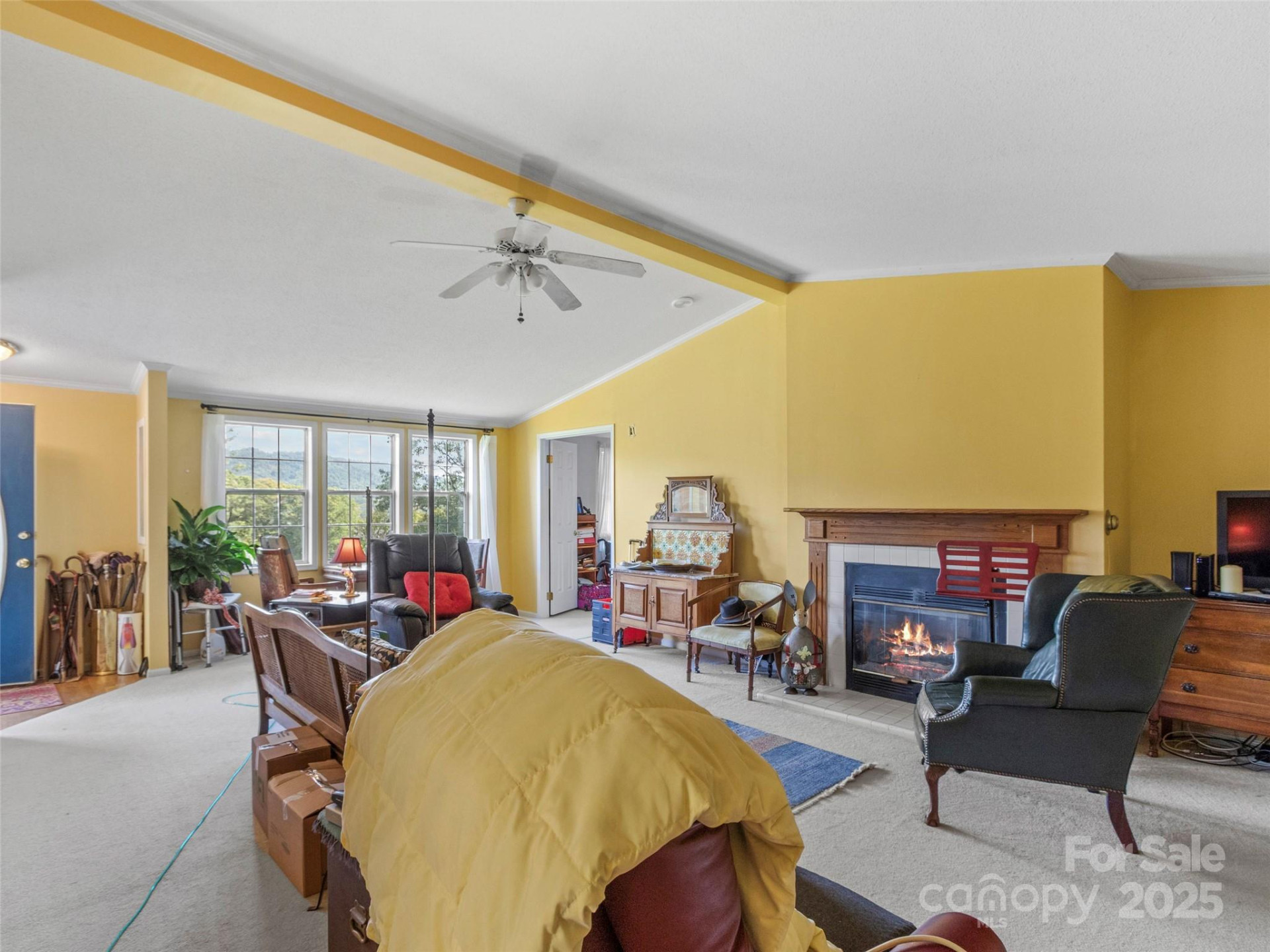 35 Mountaineer Lane #8 - Photo 9