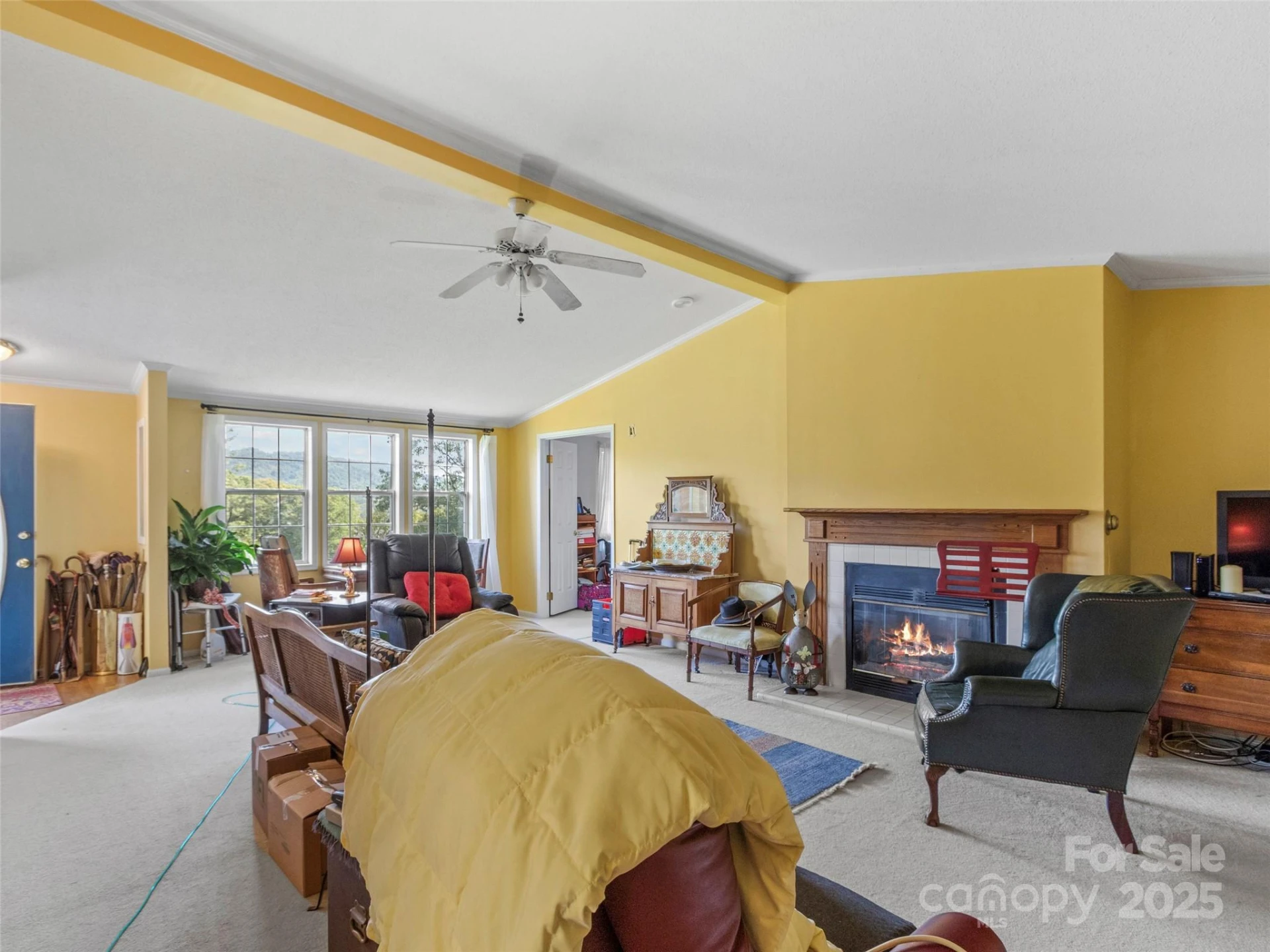 35 Mountaineer Lane #8 - Photo 9