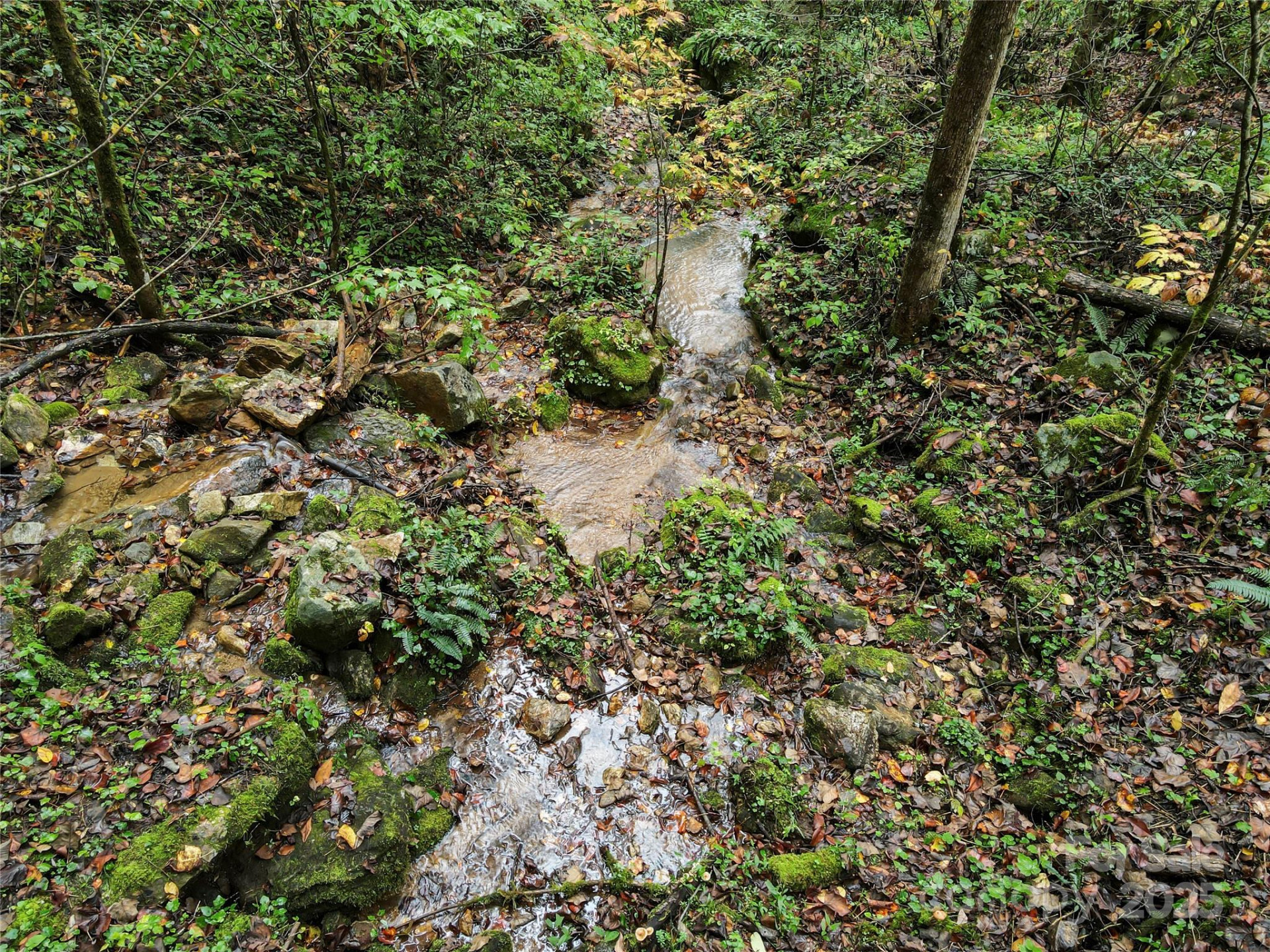 112 Boulder Creek Lane - Photo 22