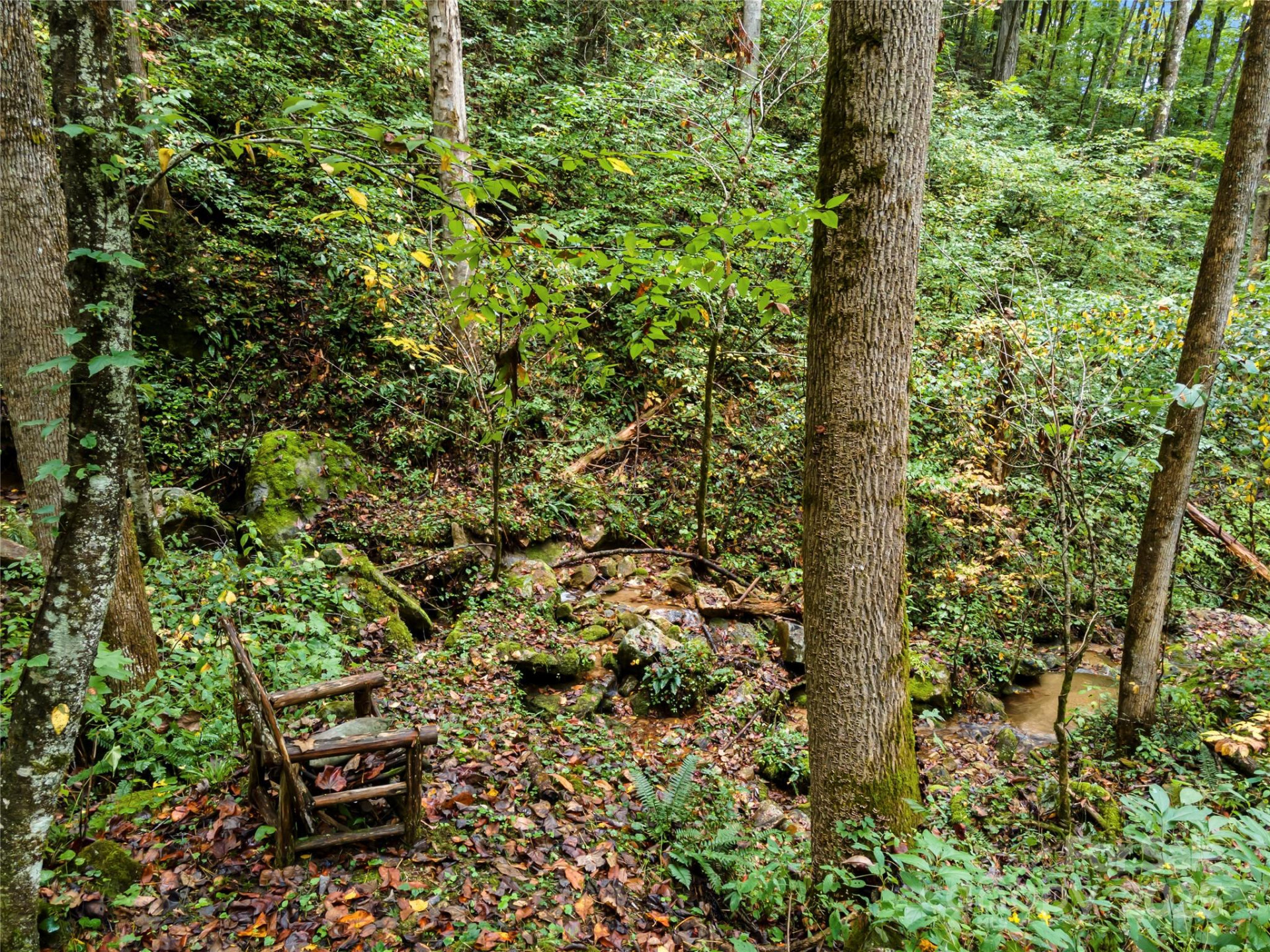 112 Boulder Creek Lane - Photo 24