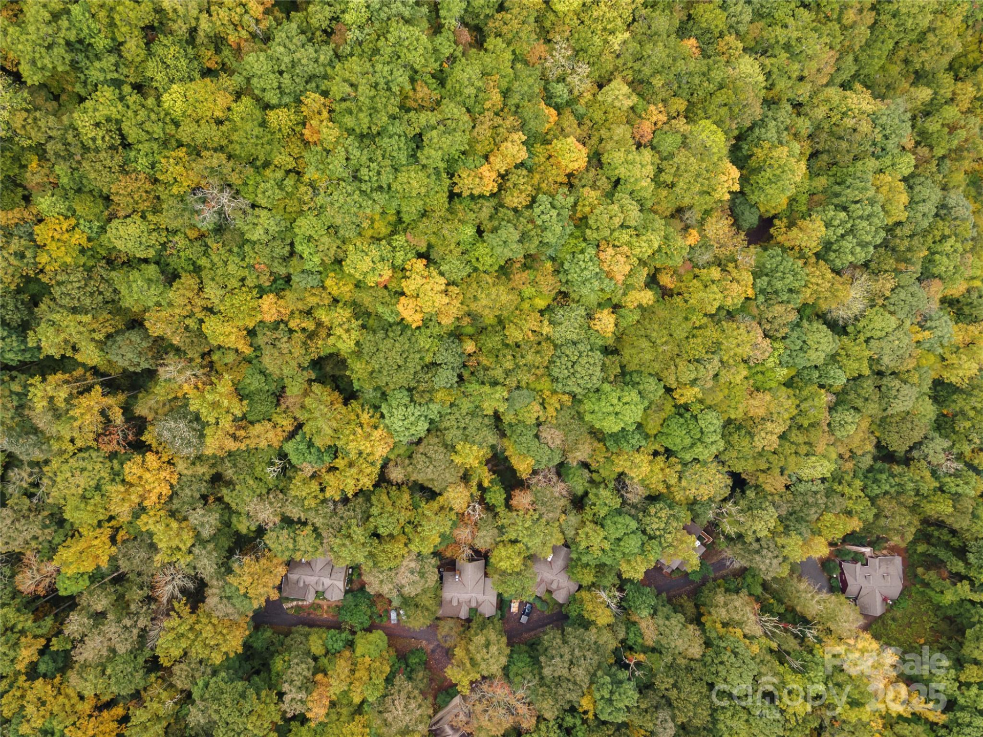 112 Boulder Creek Lane - Photo 25