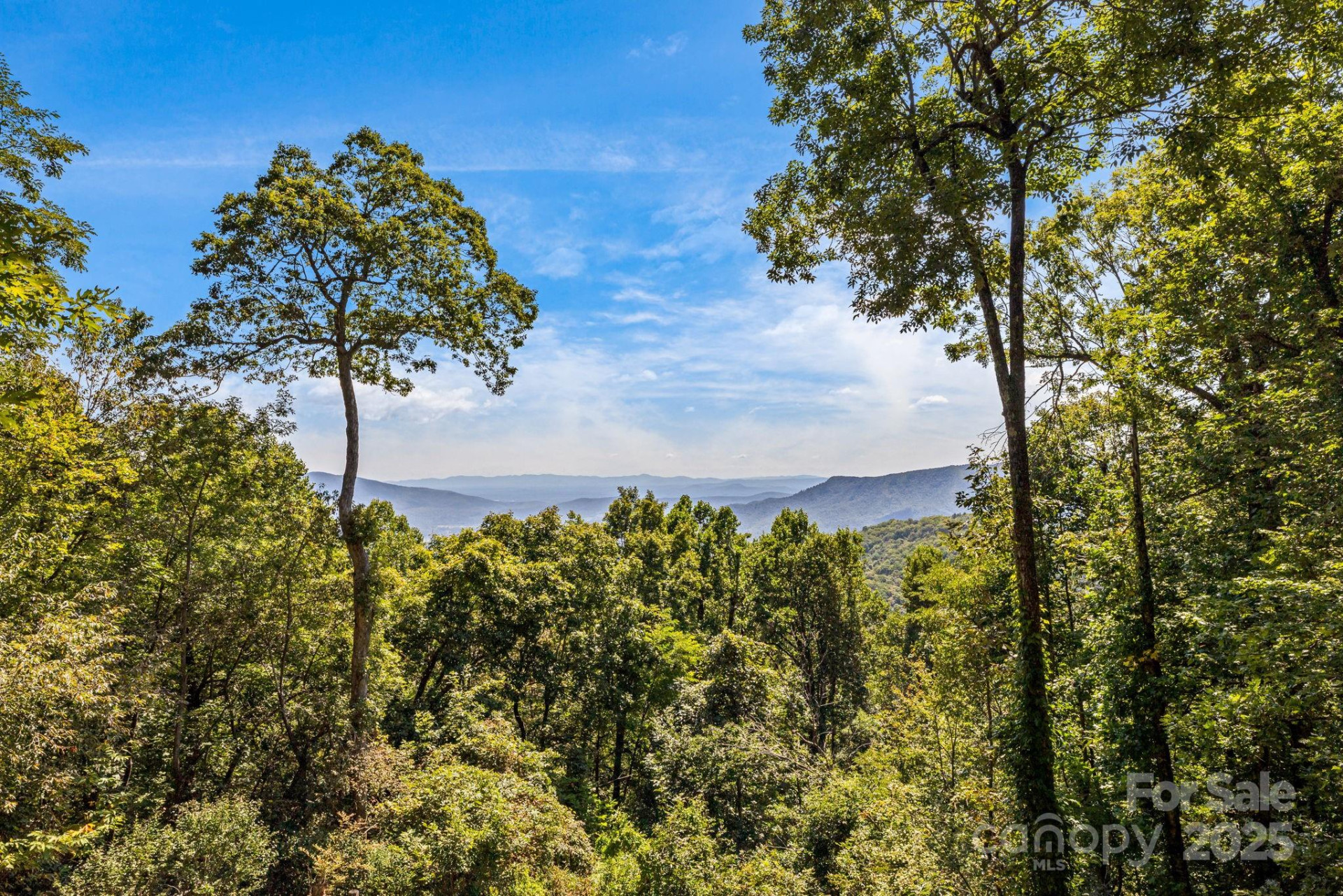 765/764 Osborne Knob Road - Photo 7