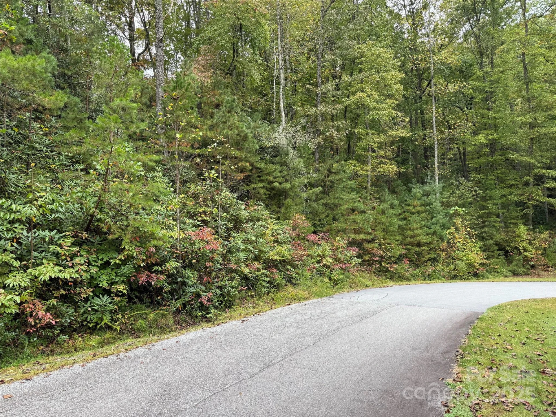 TDB Fern Cove Lane #44