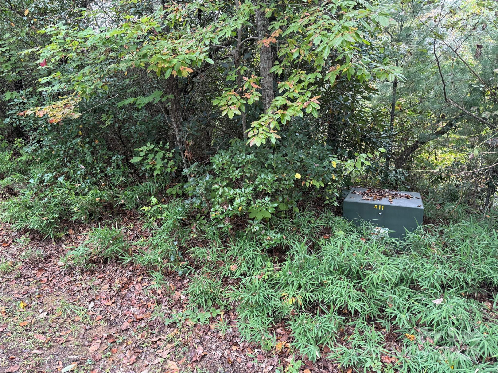 TDB Fern Cove Lane #44 - Photo 9
