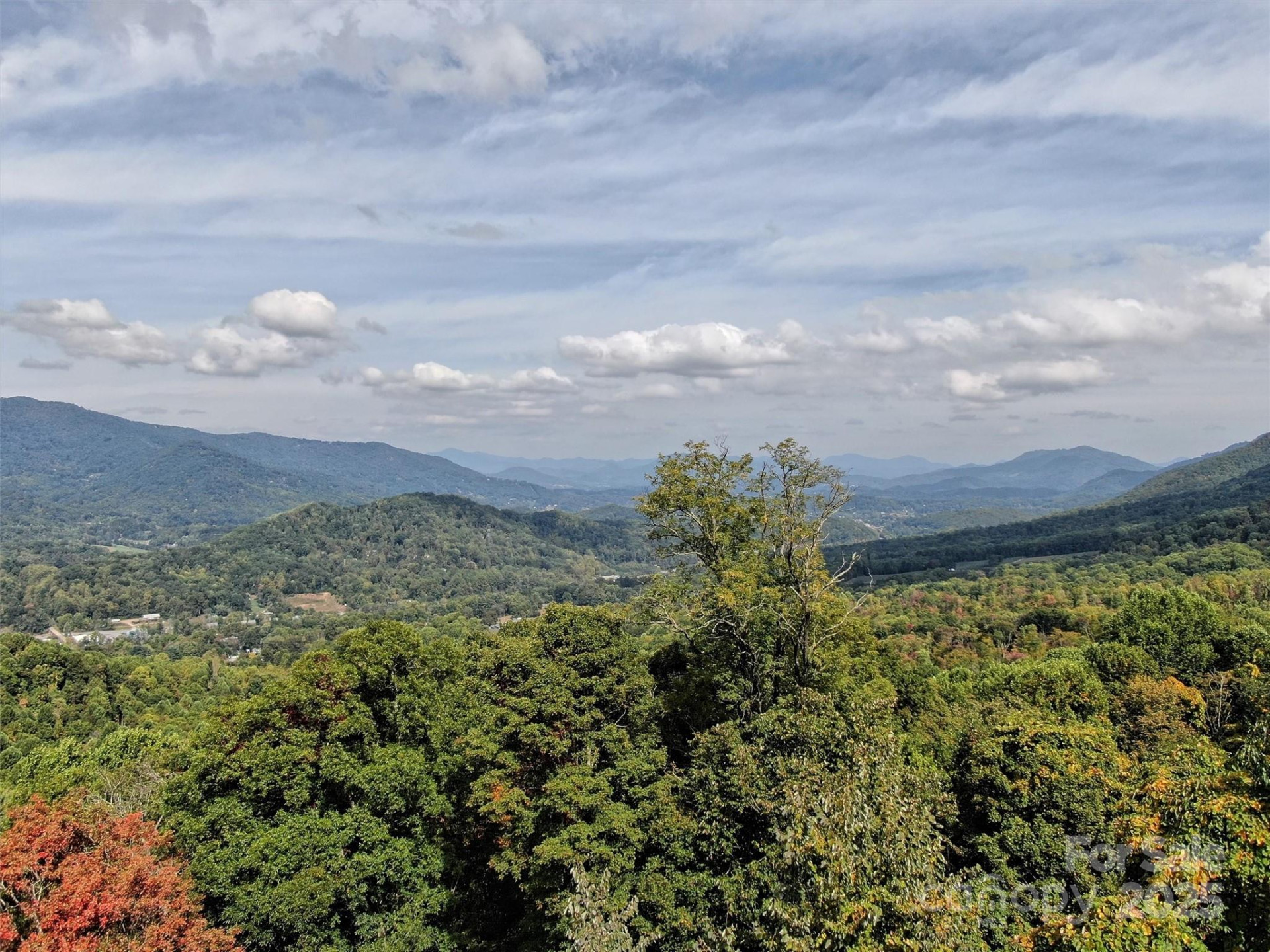 00 Ellenberger Drive #401 - Photo 3