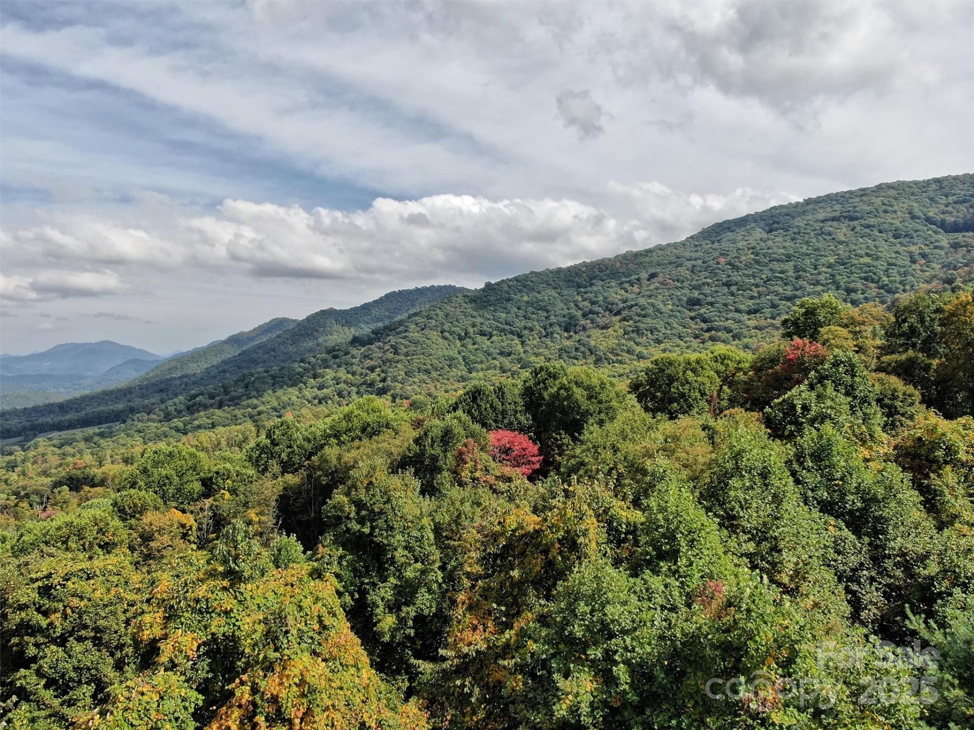 00 Ellenberger Drive #401 - Photo 4