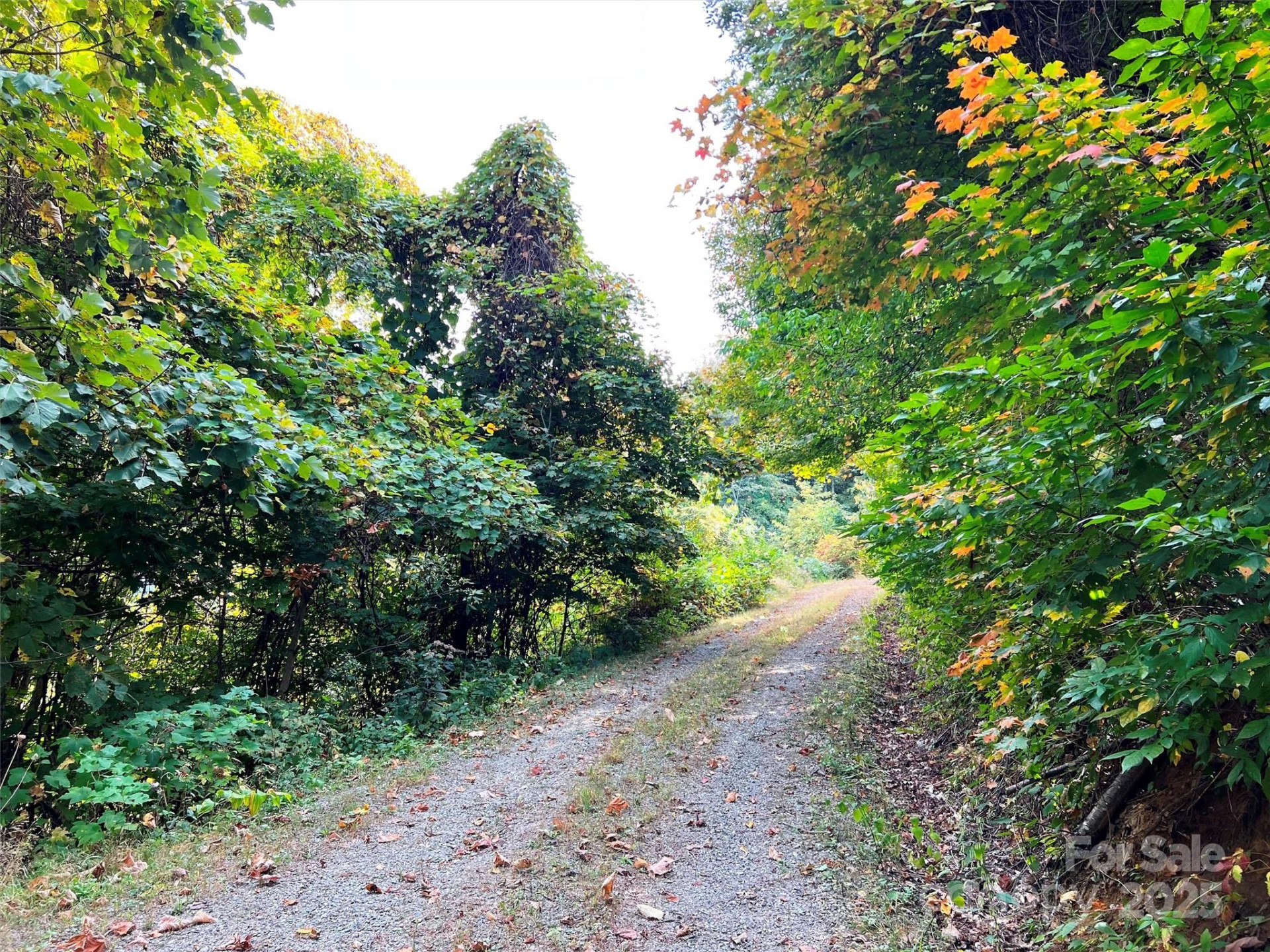 00 Ellenberger Drive #401 - Photo 7