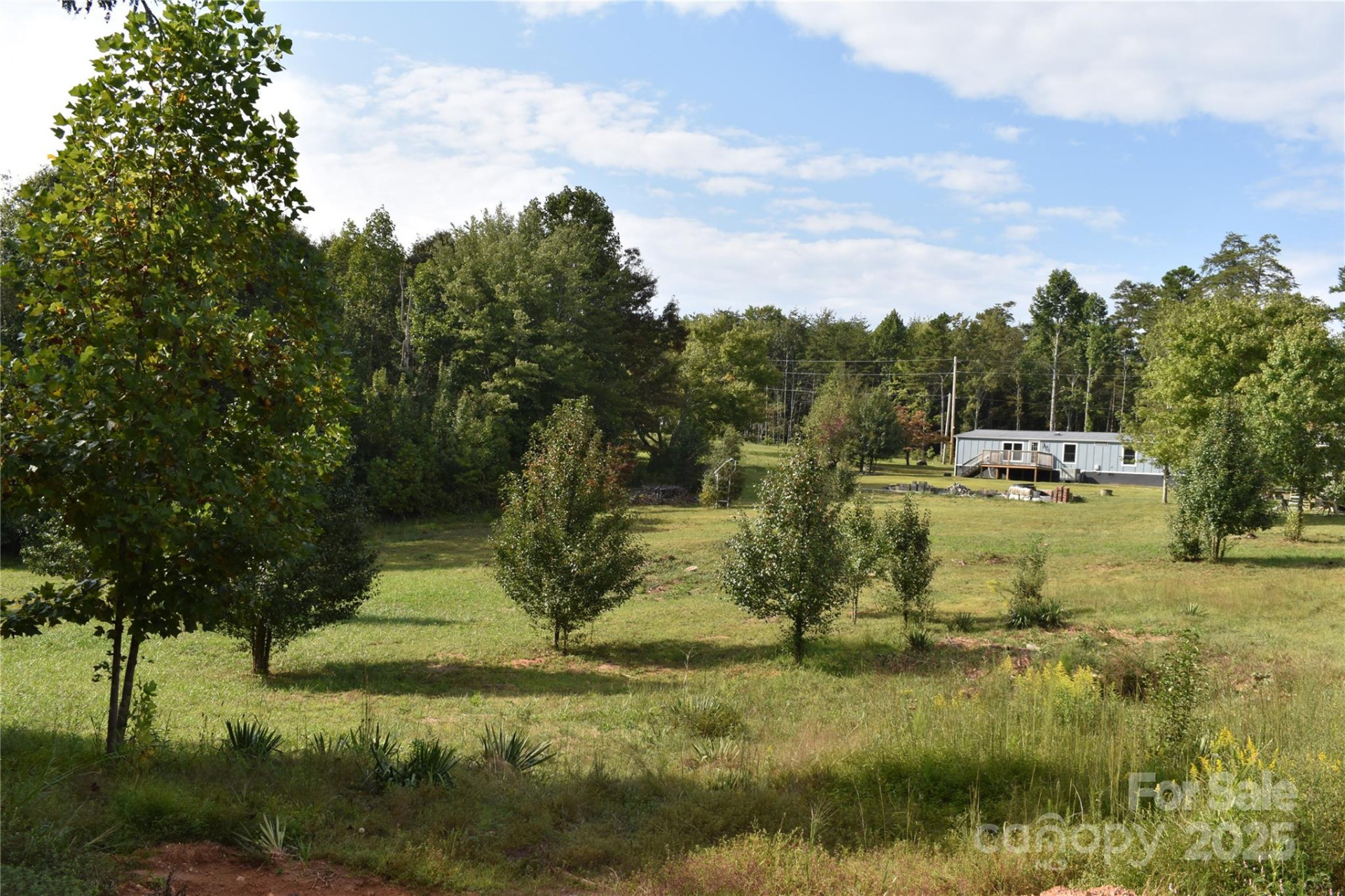 91 Sweet Gum Drive - Photo 41