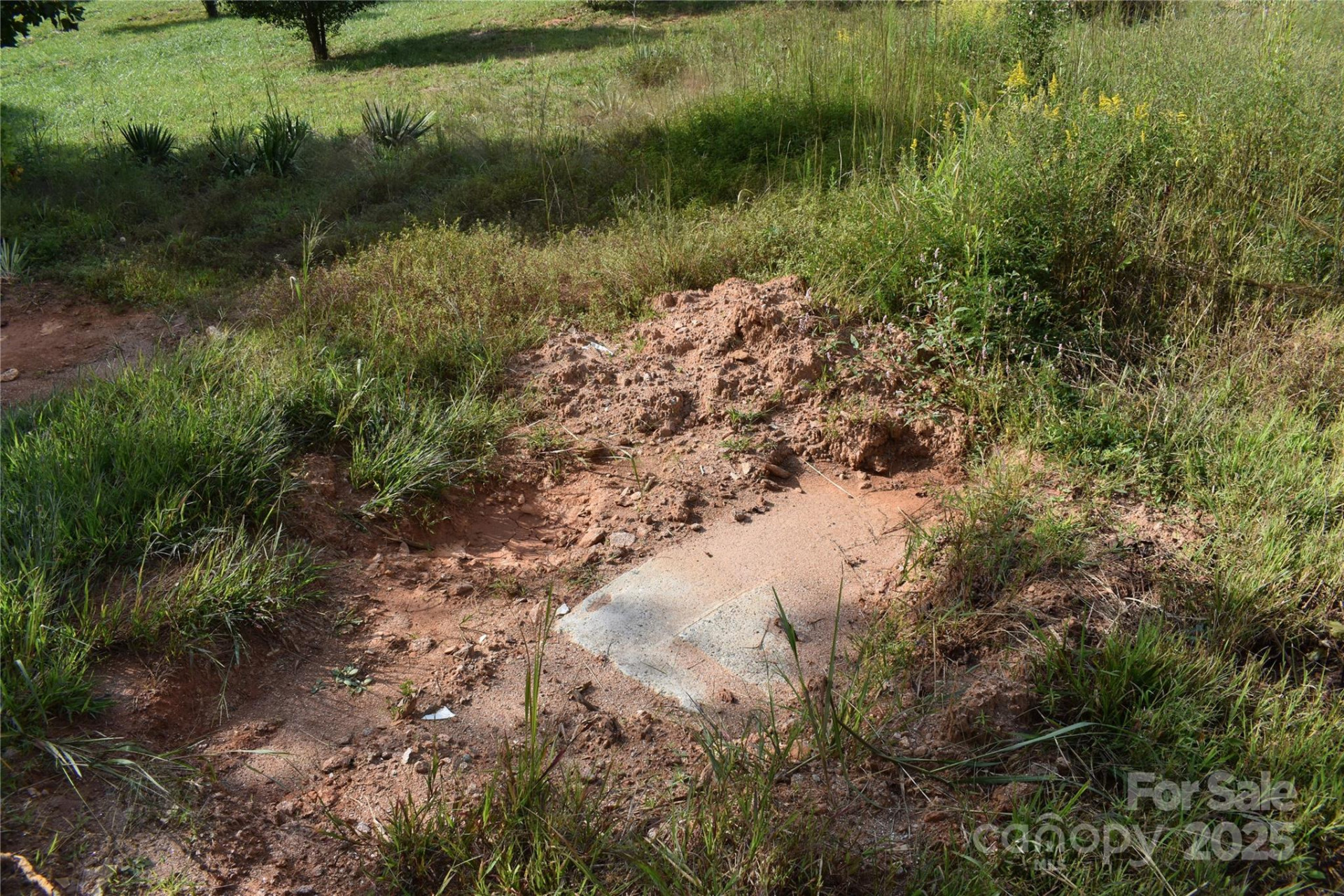 91 Sweet Gum Drive - Photo 45