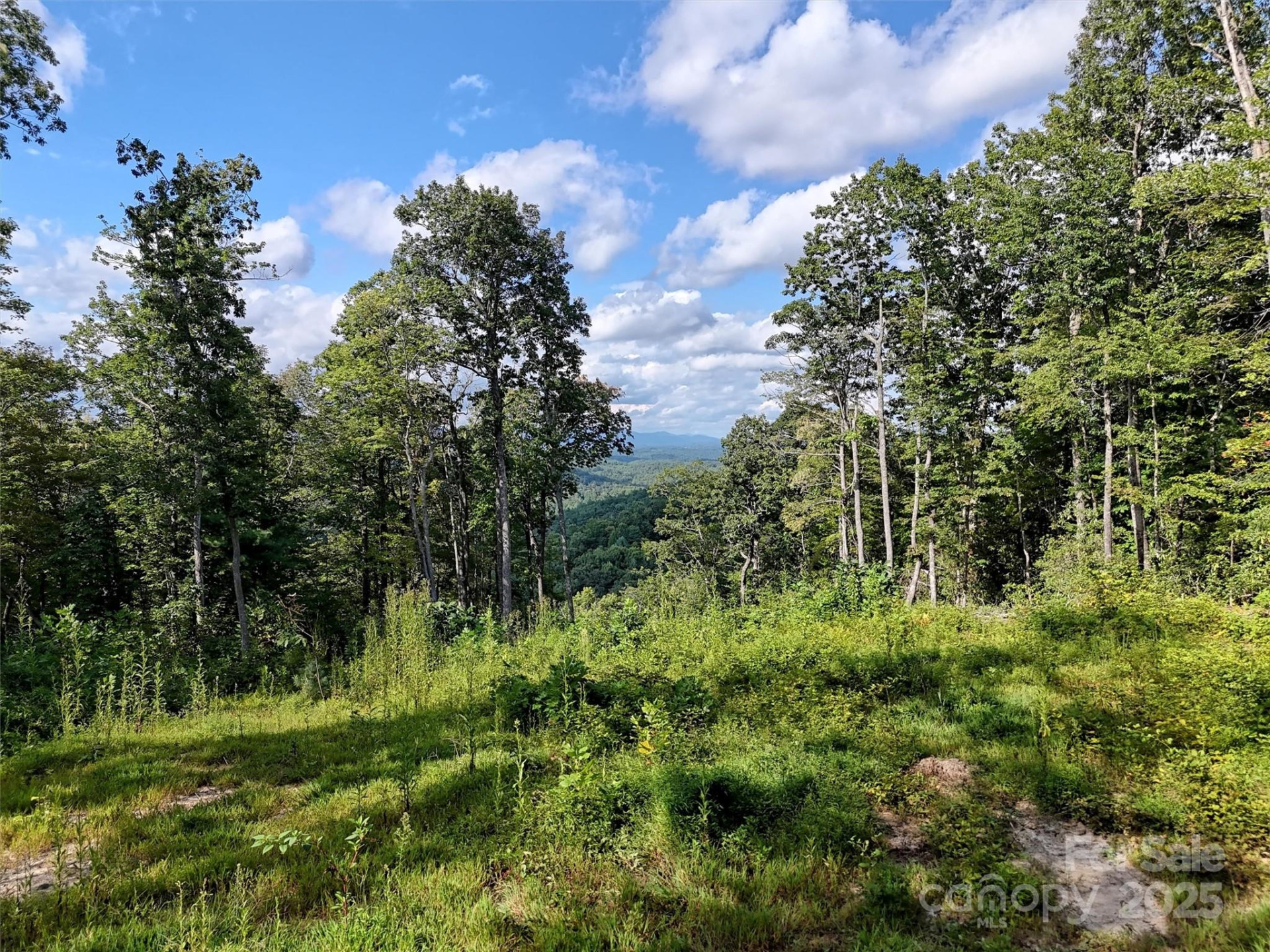 00 Bell Mountain Road - Photo 12