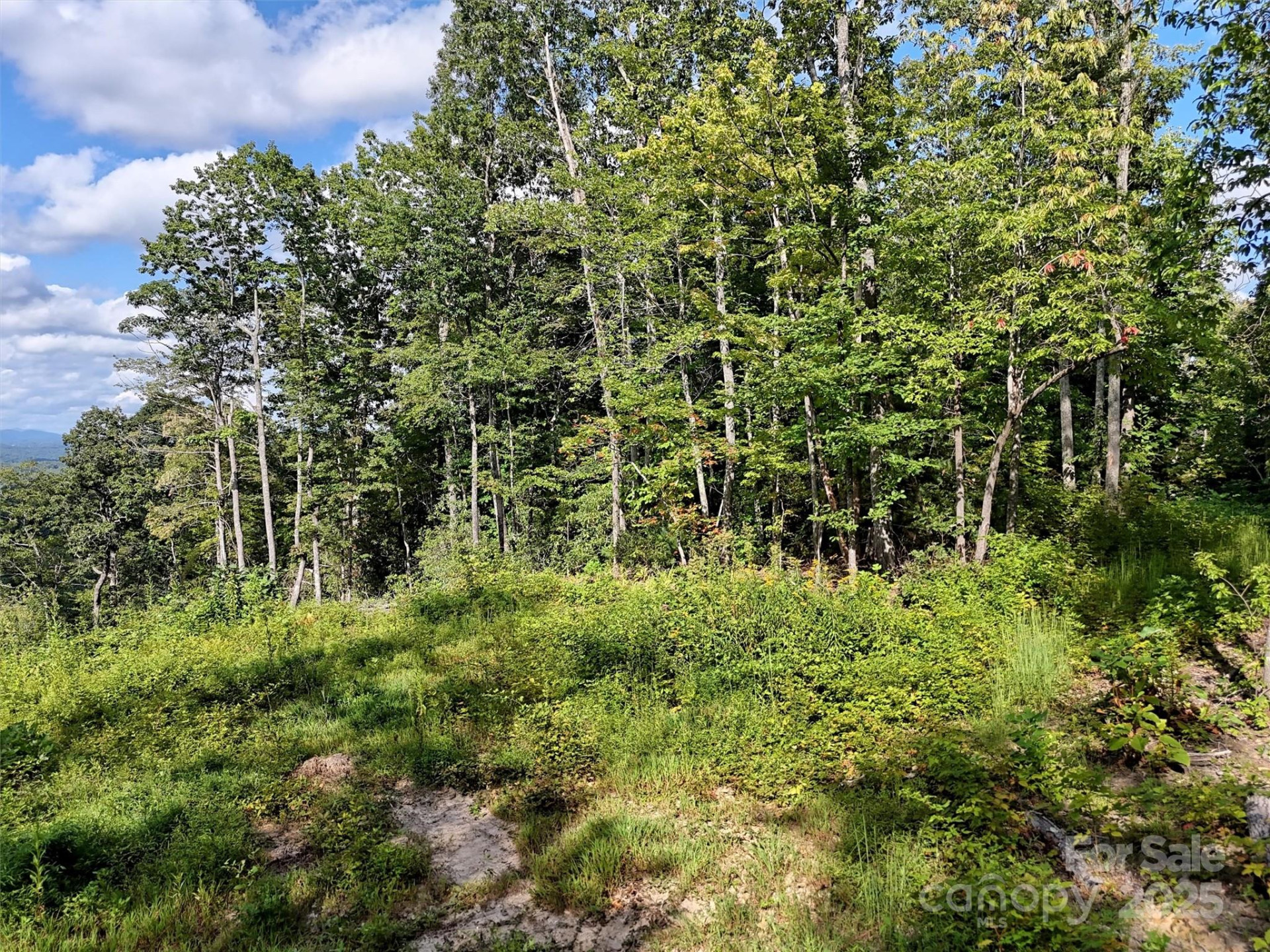 00 Bell Mountain Road - Photo 13